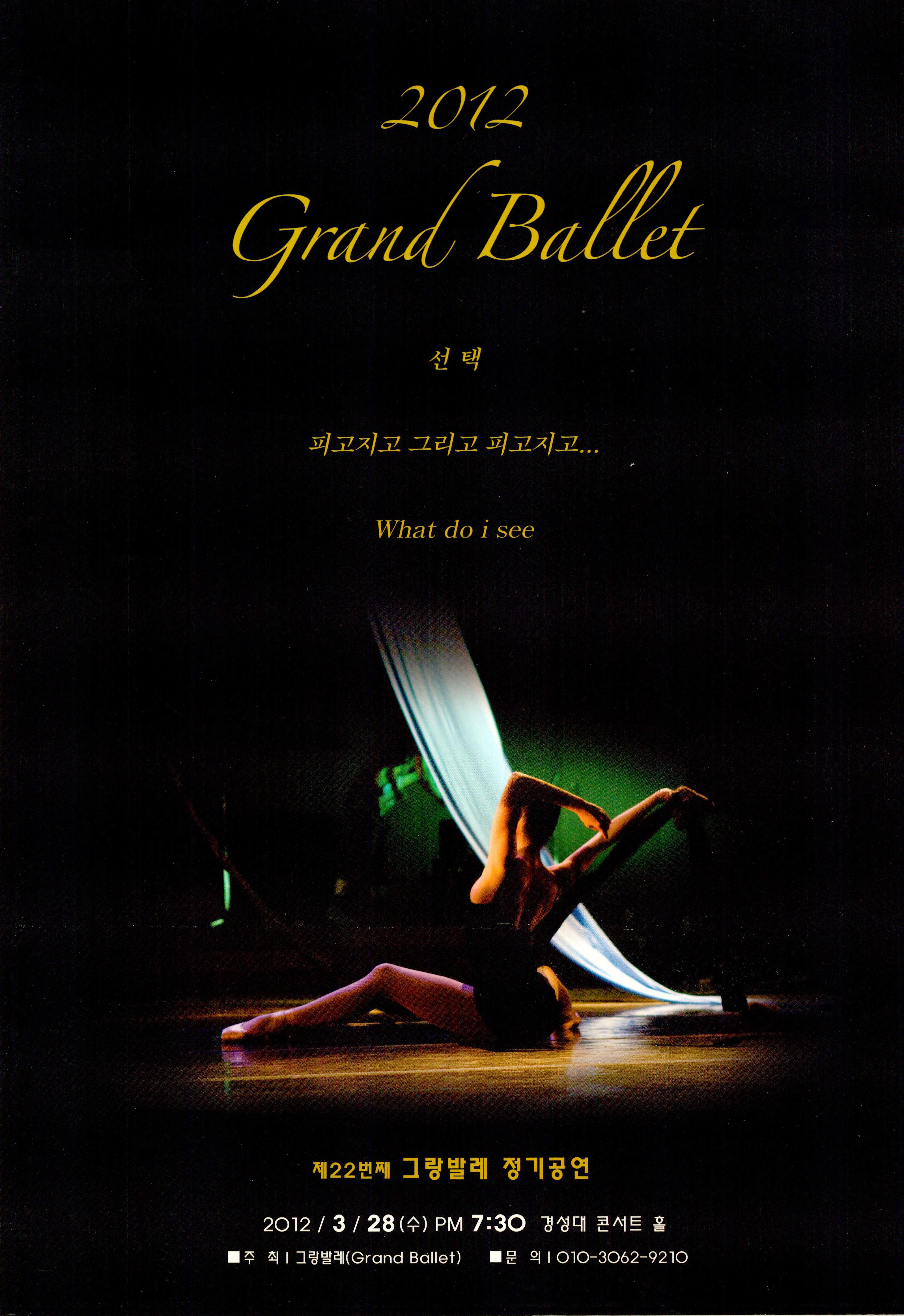 2012 Grand Ballet 제22번째 그랑발레 정기공연 "선택, 피고지고 그리고 피고지고, What do i see"