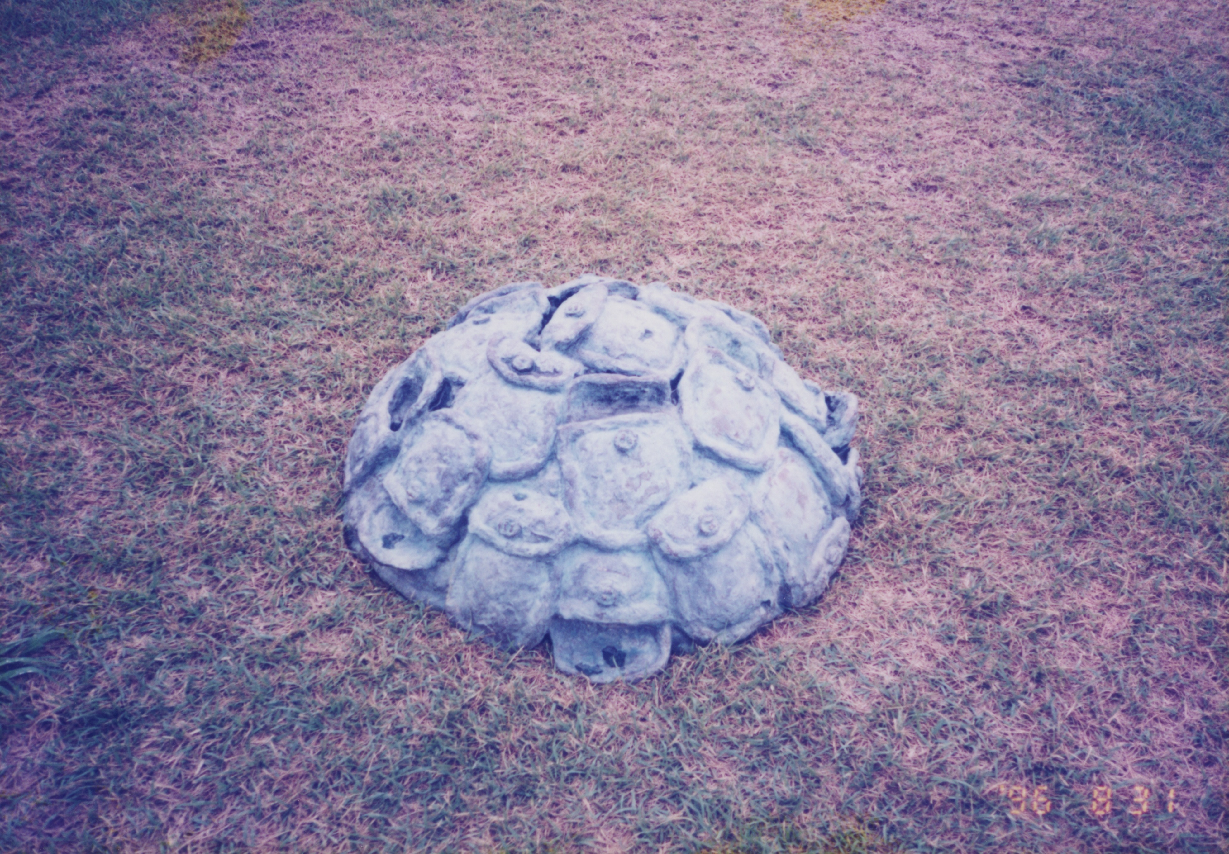 <포켓-回歸(회귀)> 인화사진