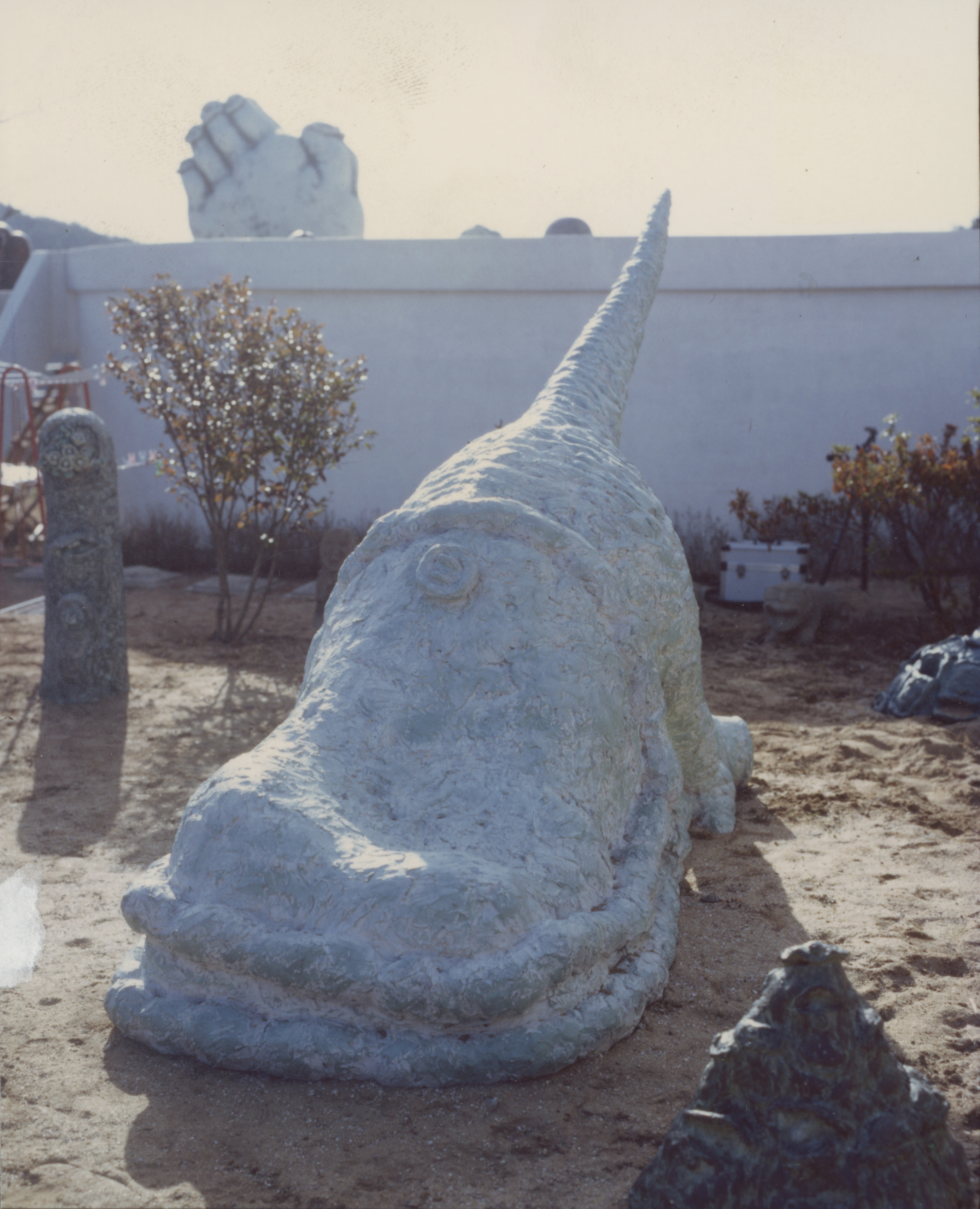 <공룡_무엇을 찾나> 인화사진