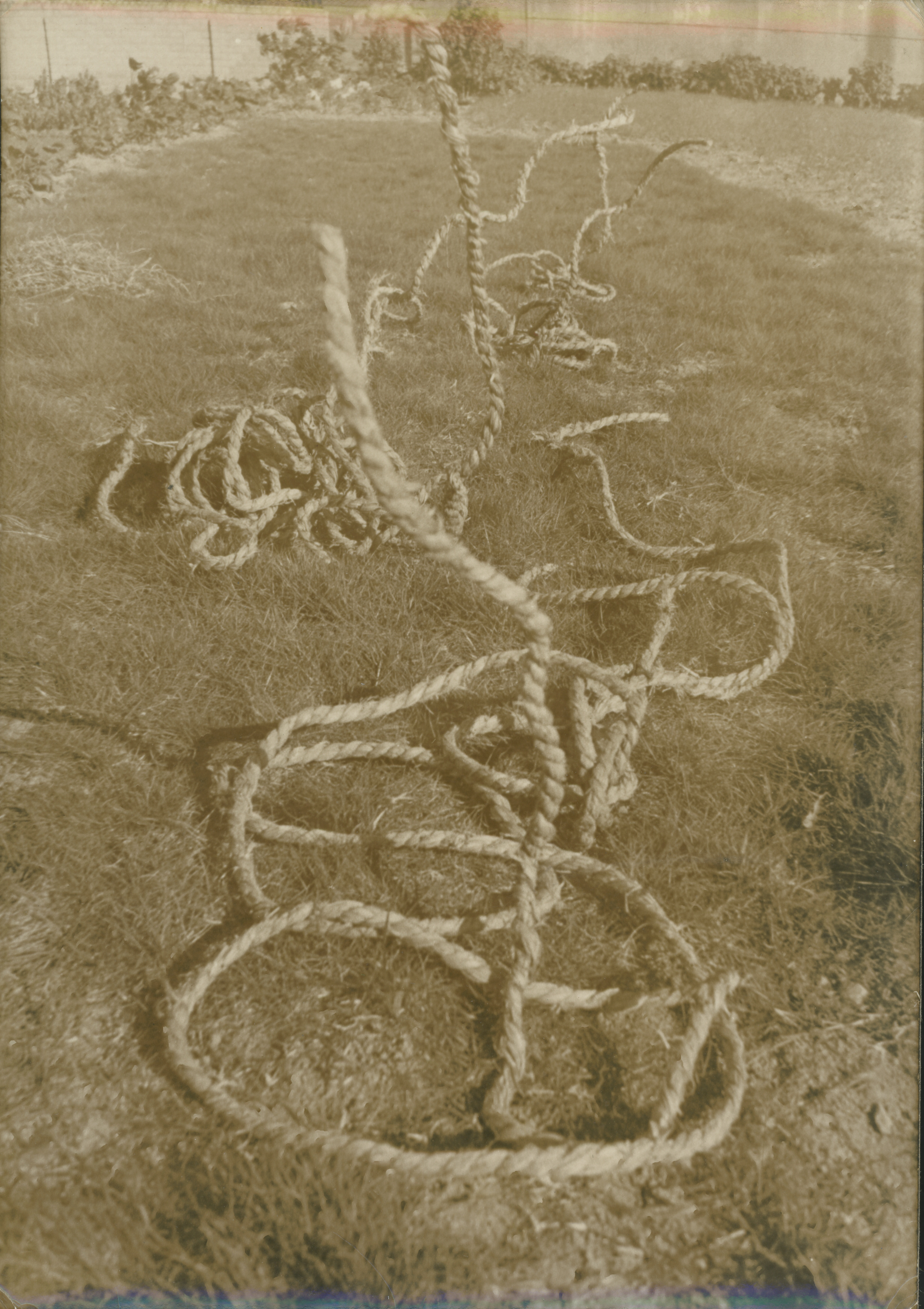 <표상화된 작위> 인화사진