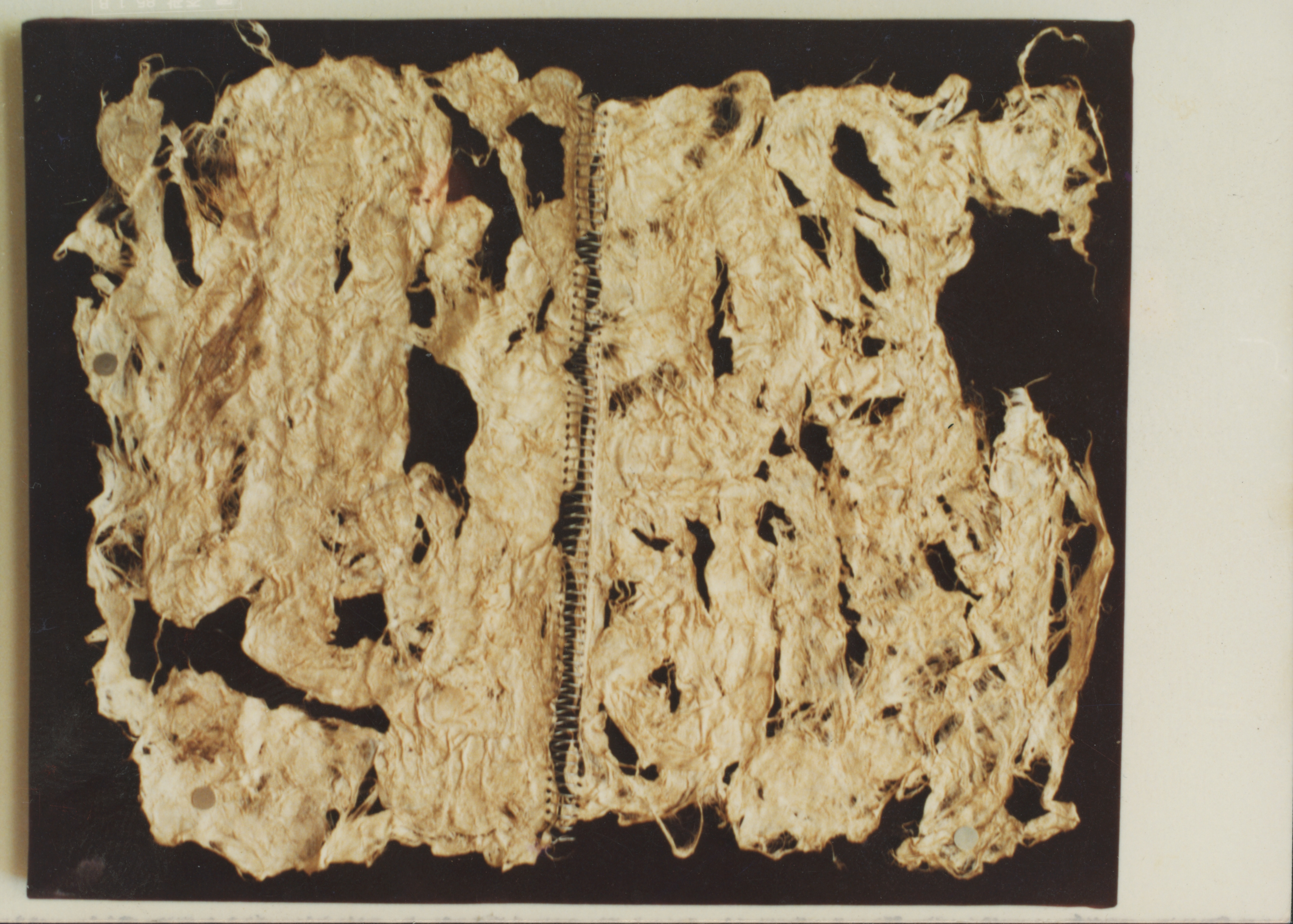 <화첩> 인화사진