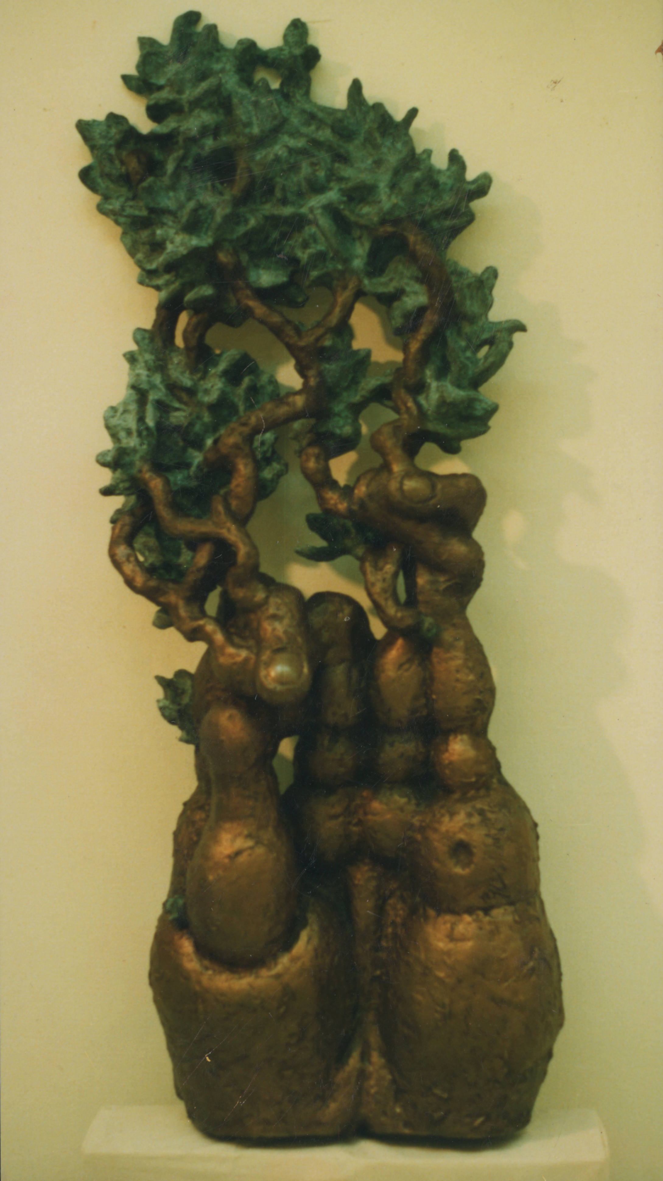 <자라는 손> 인화사진