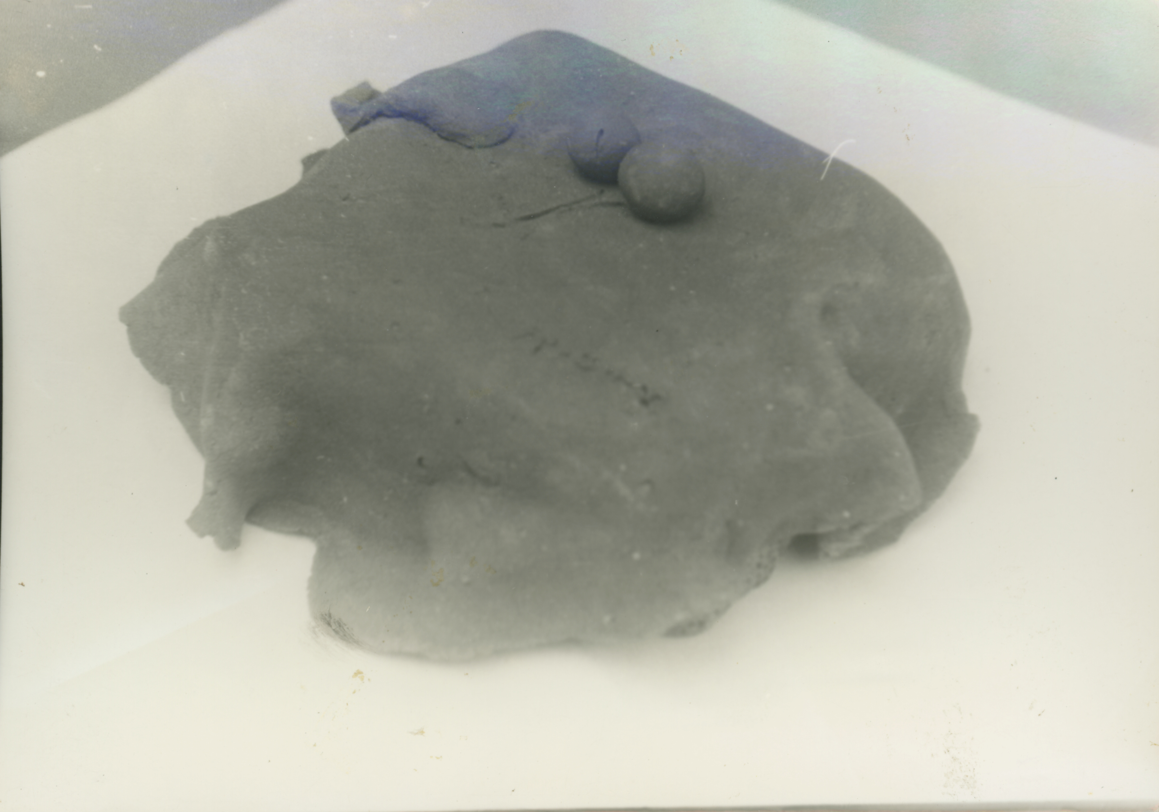 연구실적노트 스크랩 자료 5 미상작품 인화사진