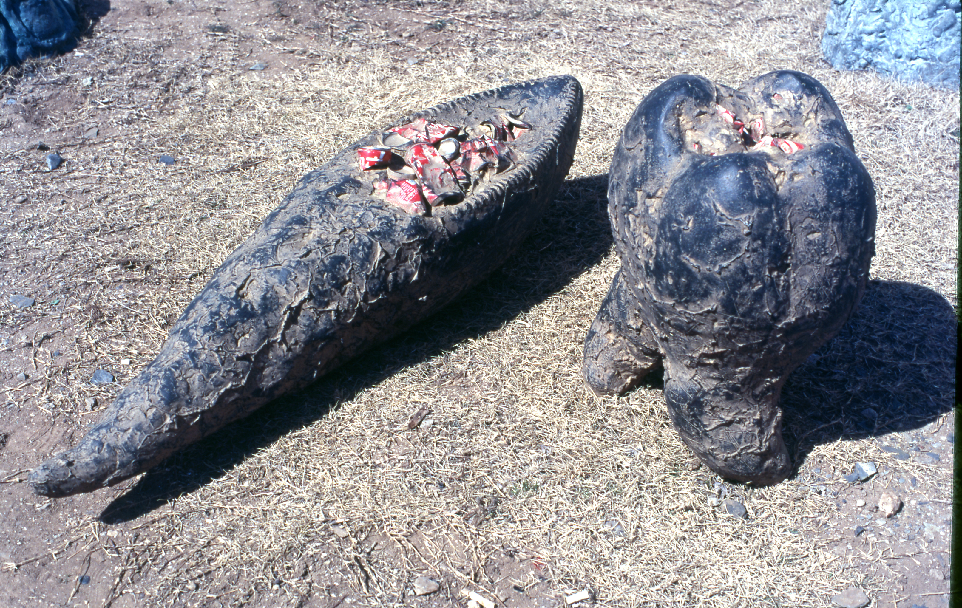 <공룡의 썩은 이빨> 슬라이드