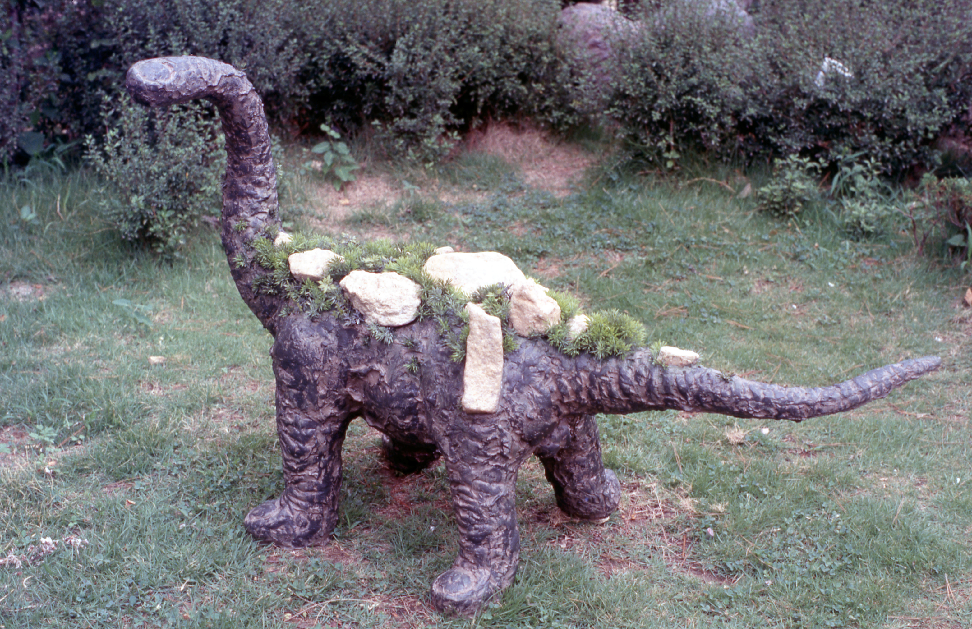 <공룡을 봤다> 슬라이드