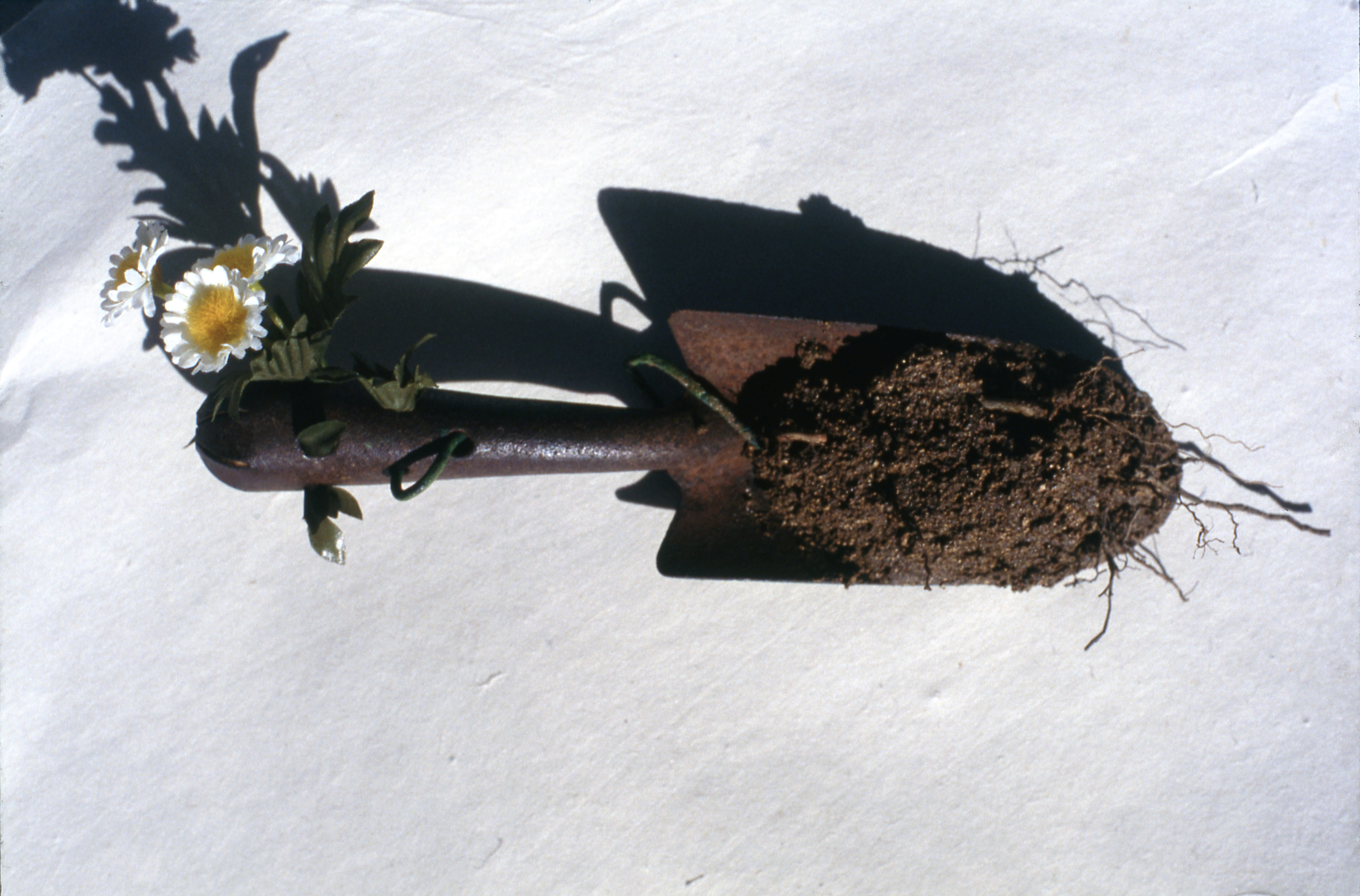 <도시> 슬라이드