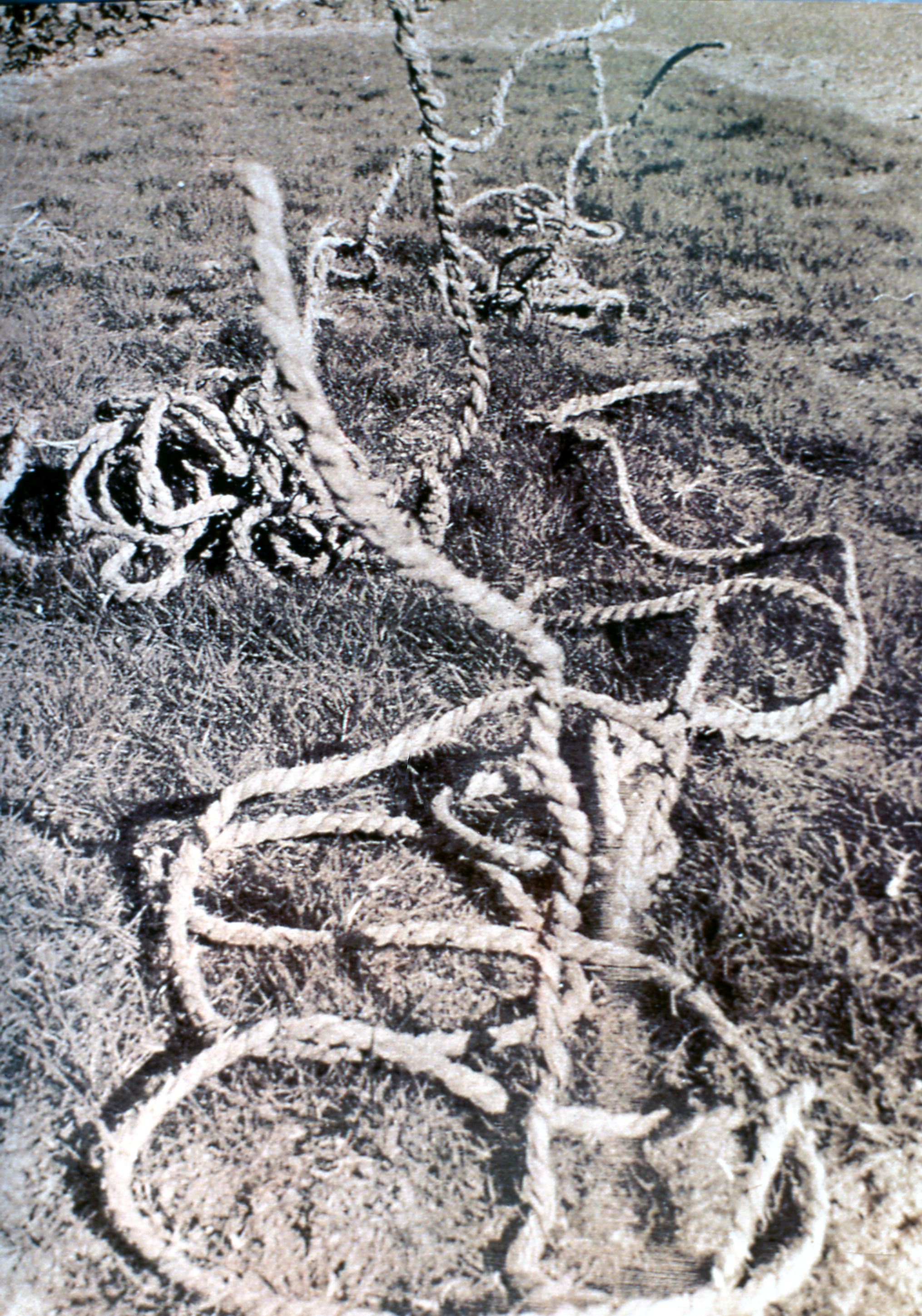 <표상화된 작위> 슬라이드