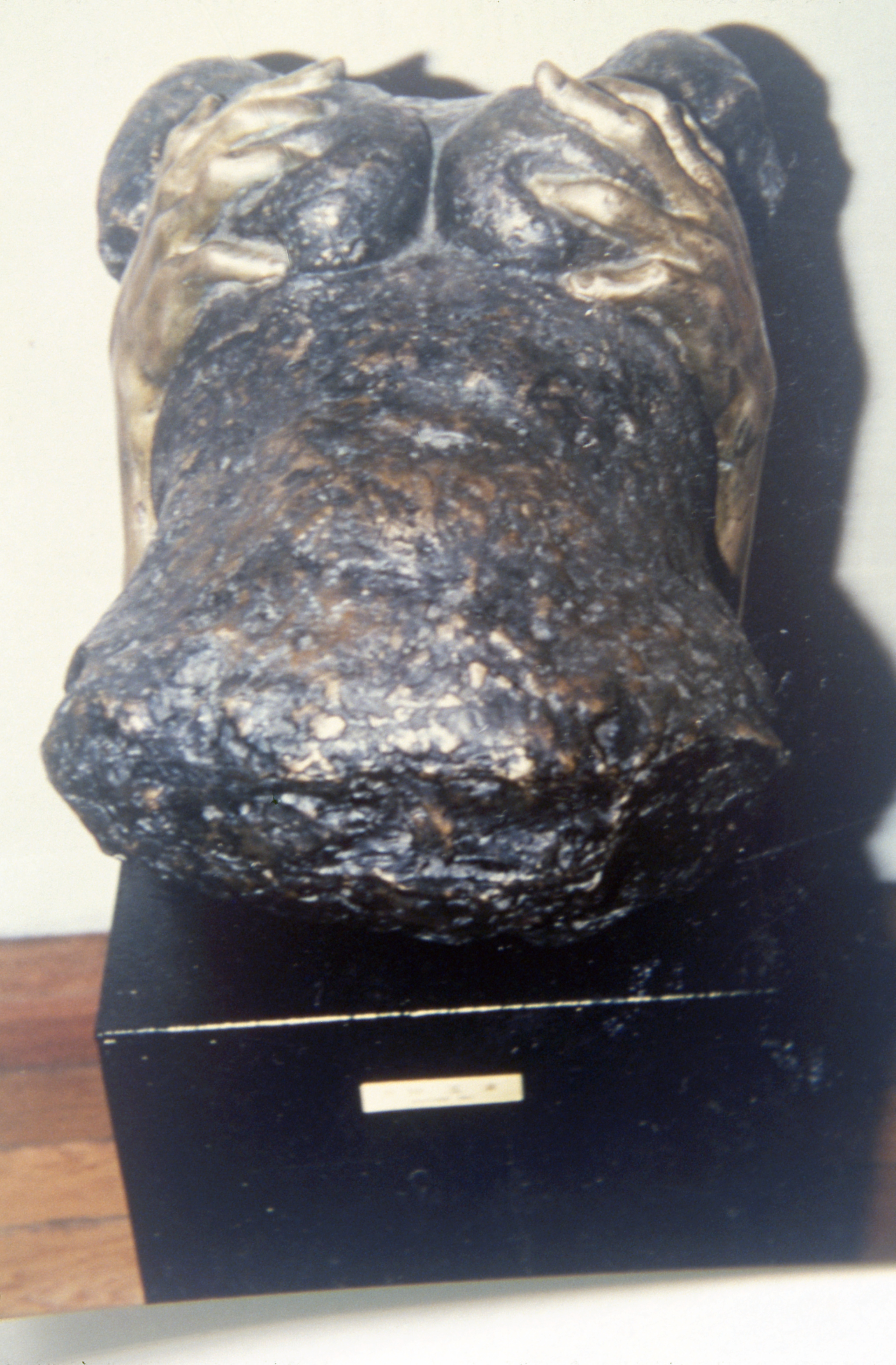 <손-1> 슬라이드