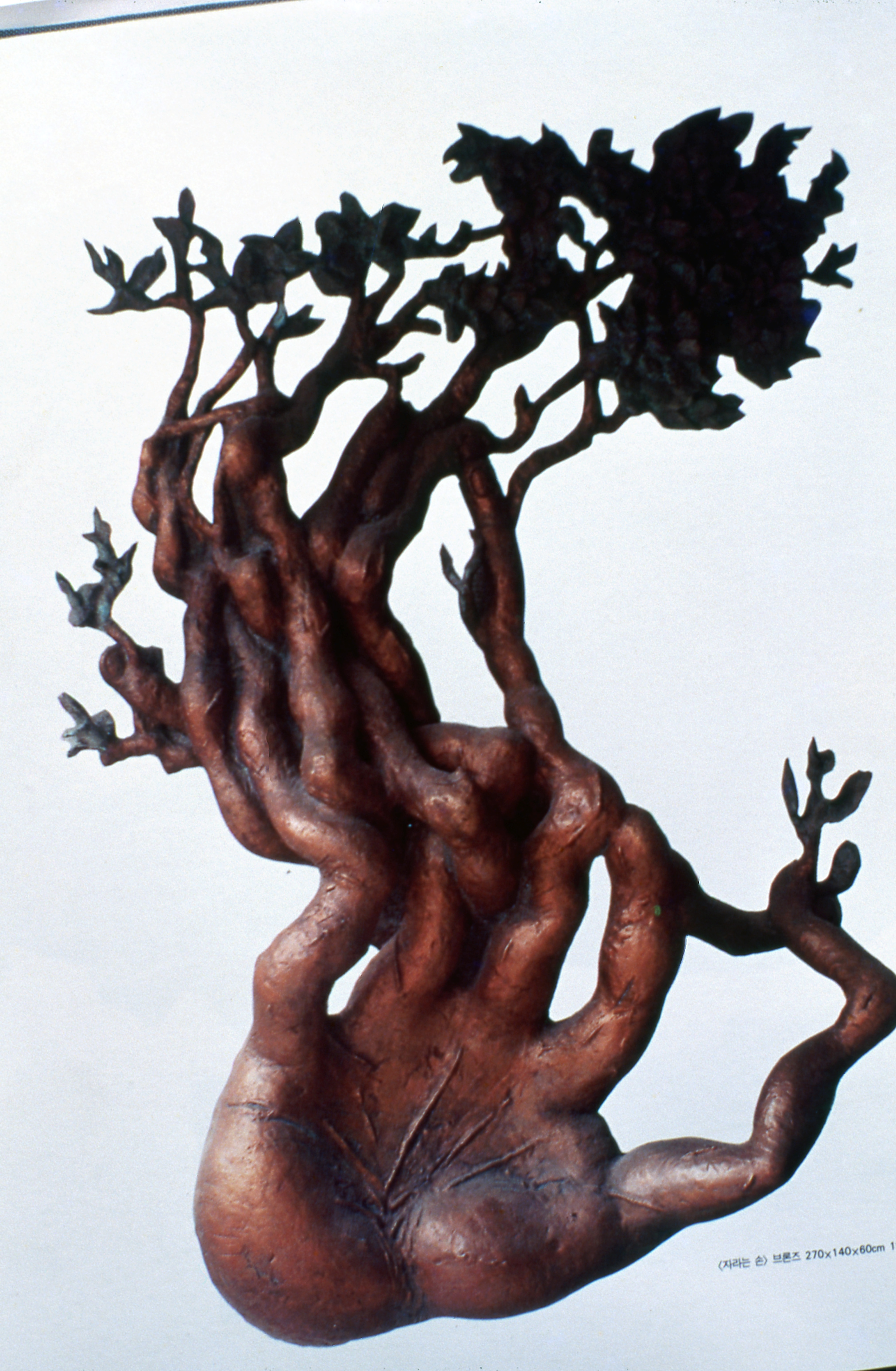 <자라는 손> 슬라이드