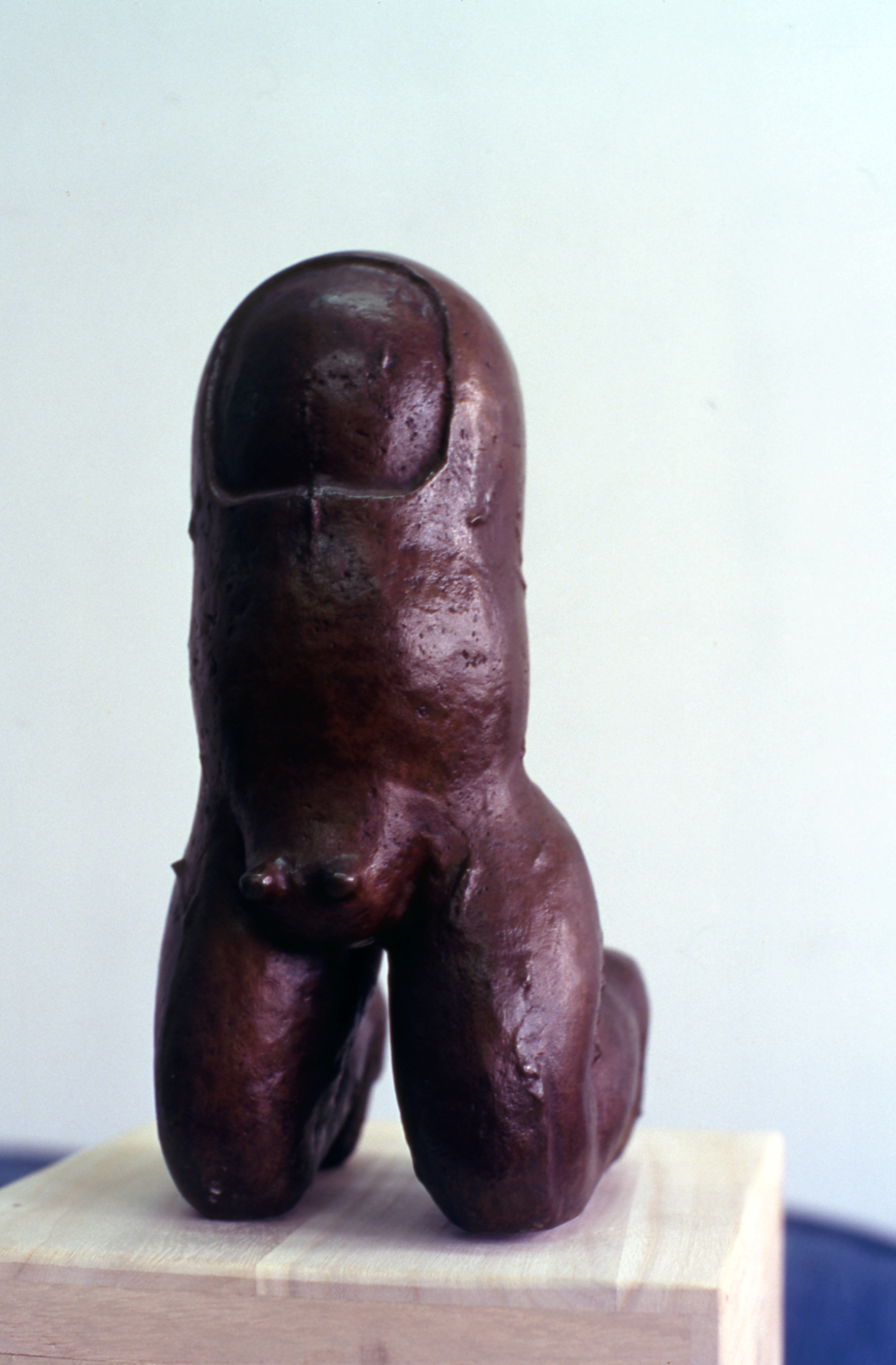 <당당한 녀석> 슬라이드