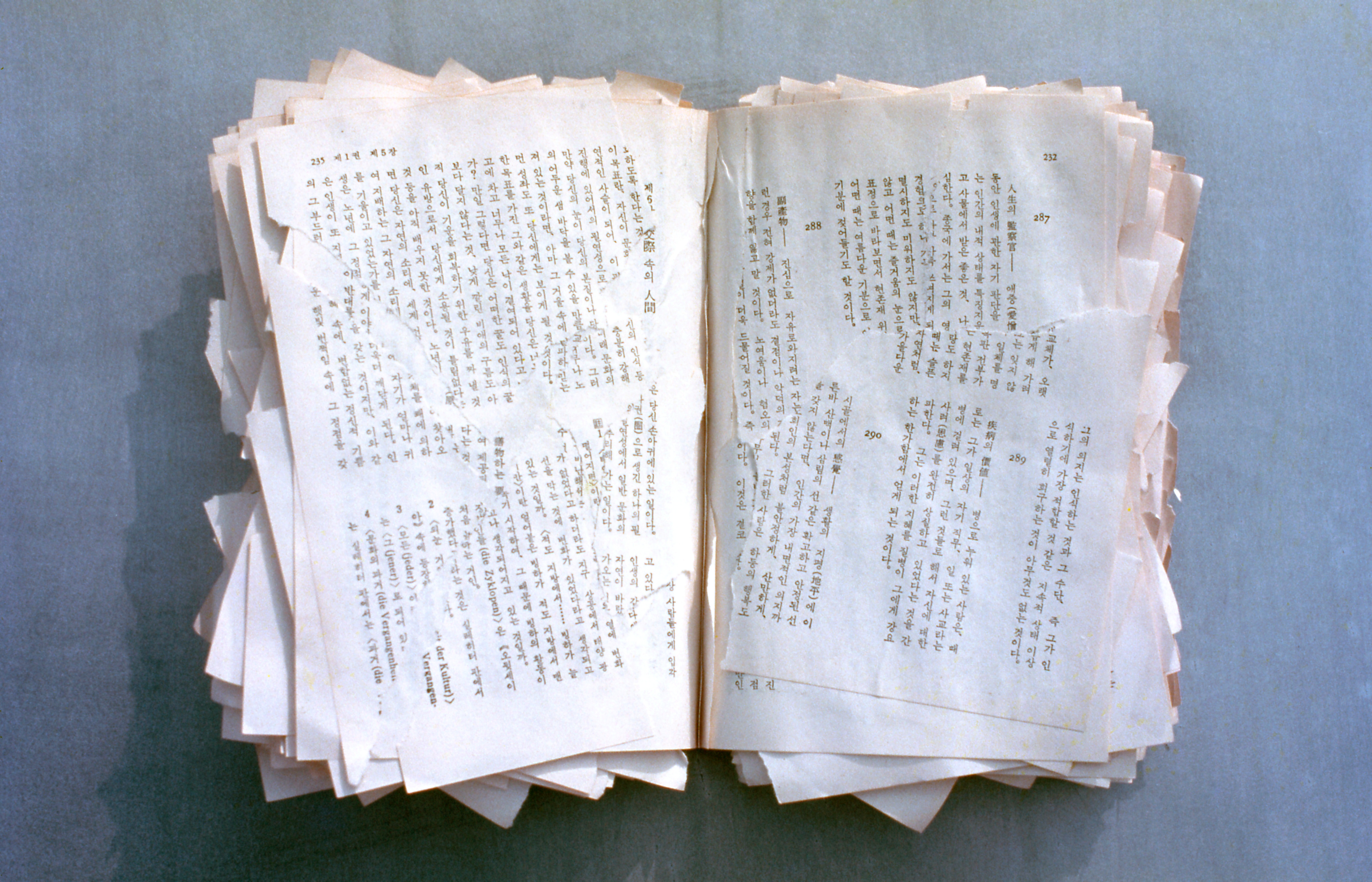 <인간적인, 너무나 인간적인> 슬라이드