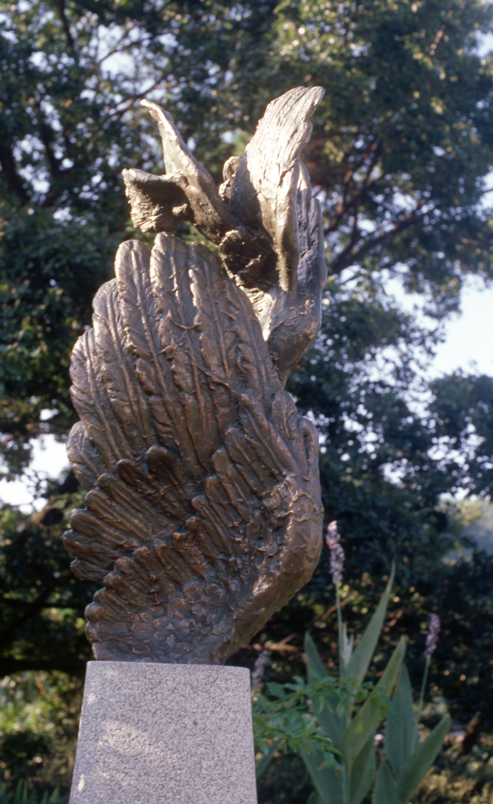 <자라는 날개> 슬라이드