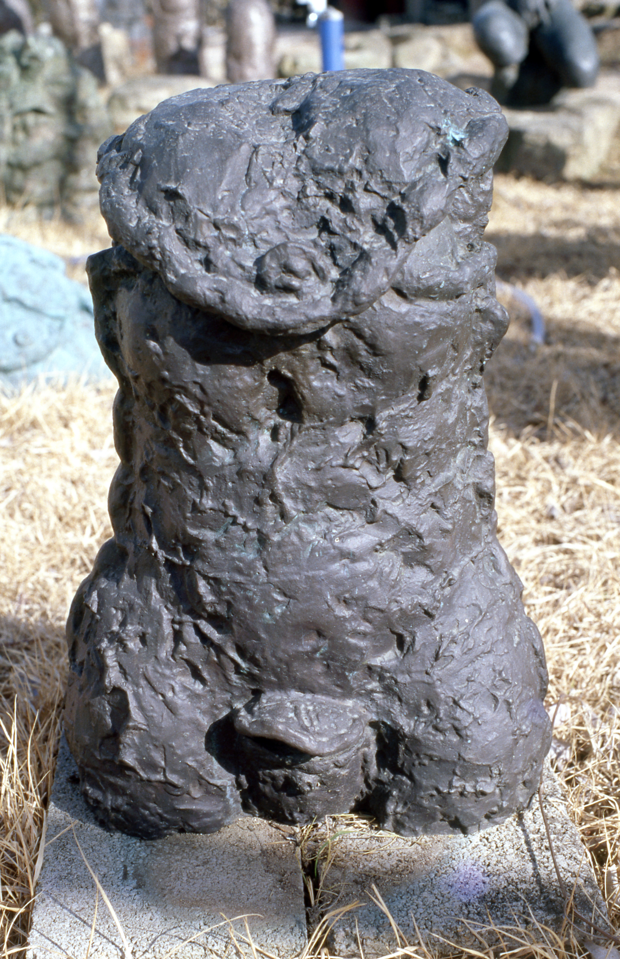 <포켓 토루소> 슬라이드