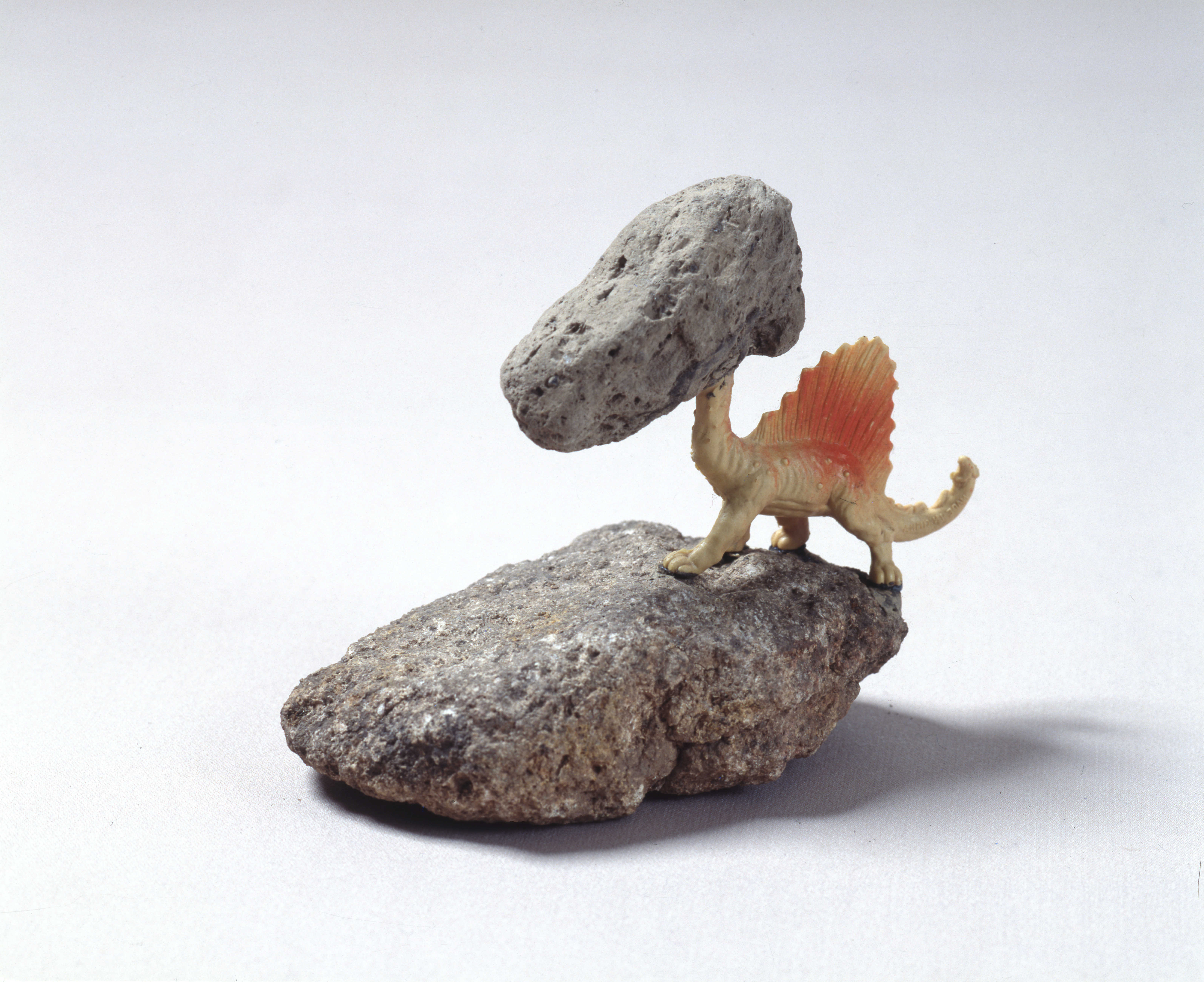 <공룡 잠에서 깨어나다> 필름