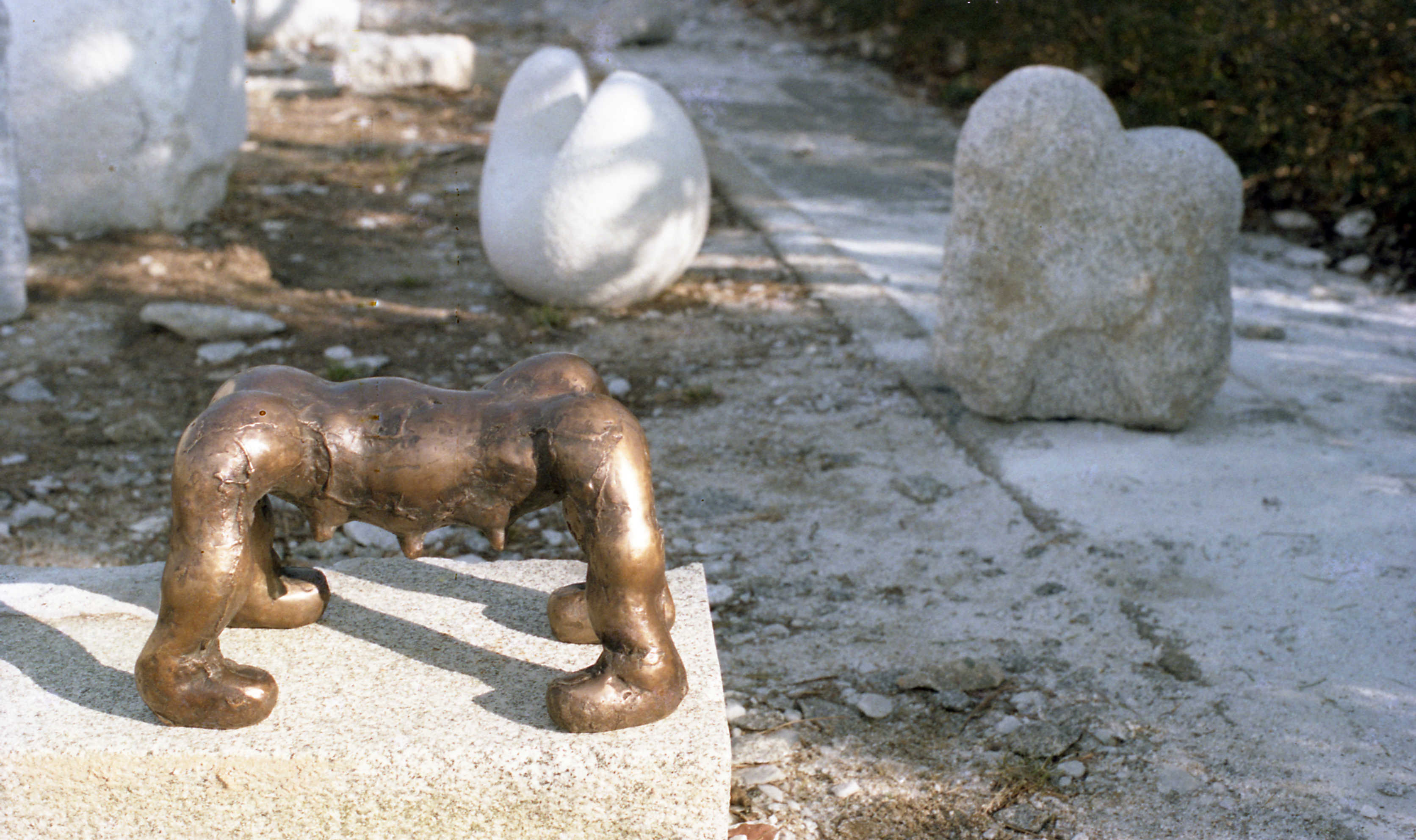 <신의 젓줄> 필름