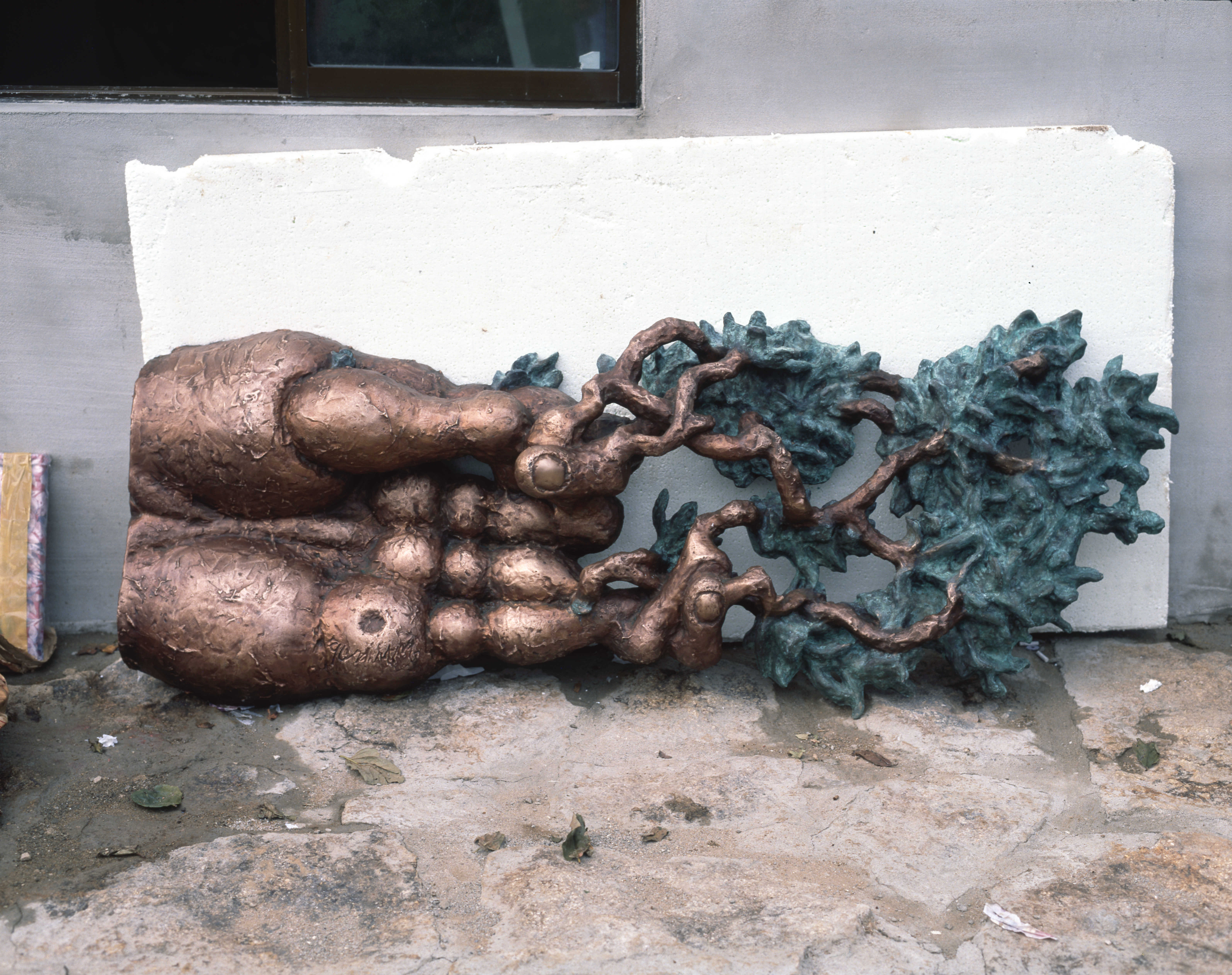 <자라는 손> 필름