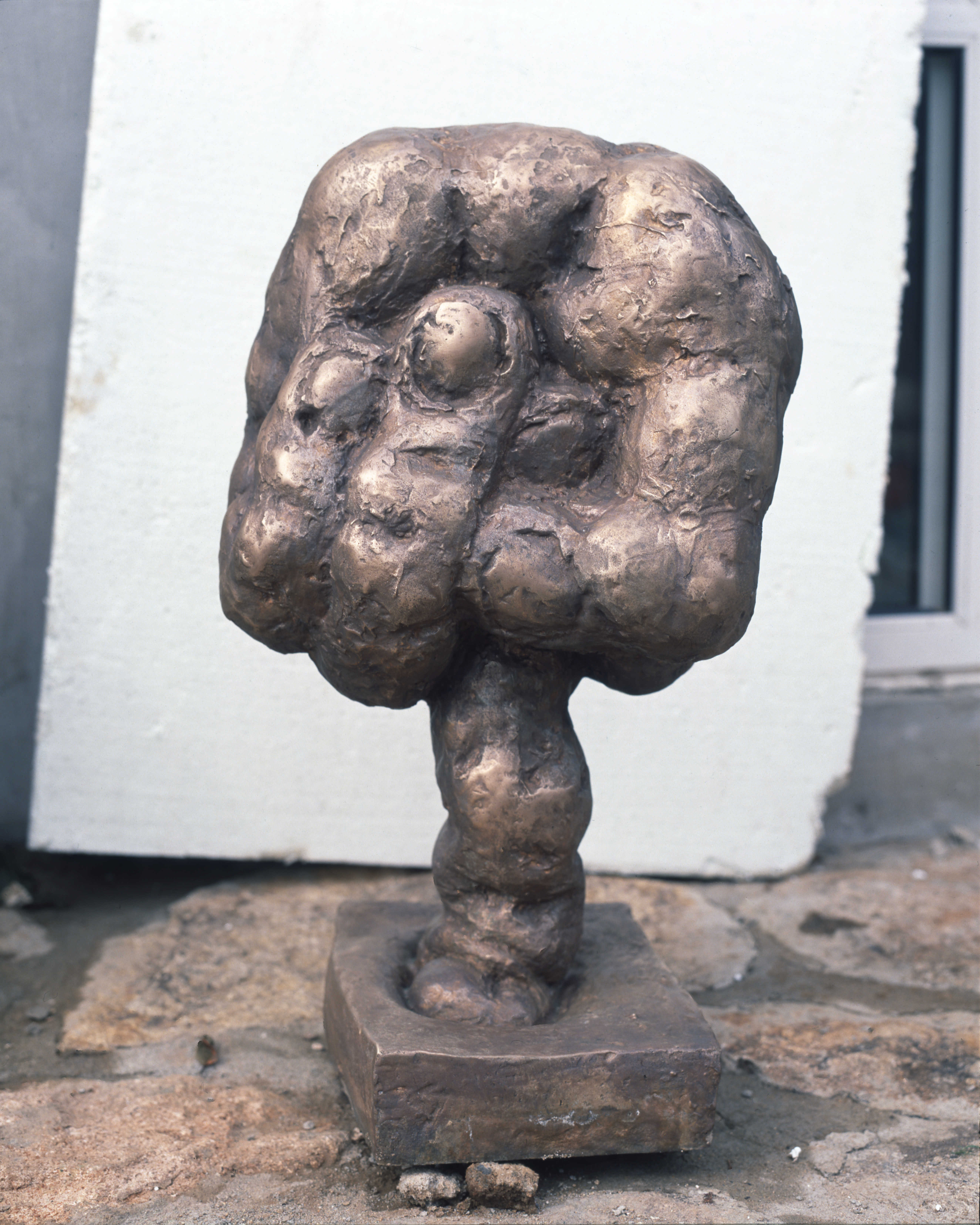 <손-男(남)> 필름