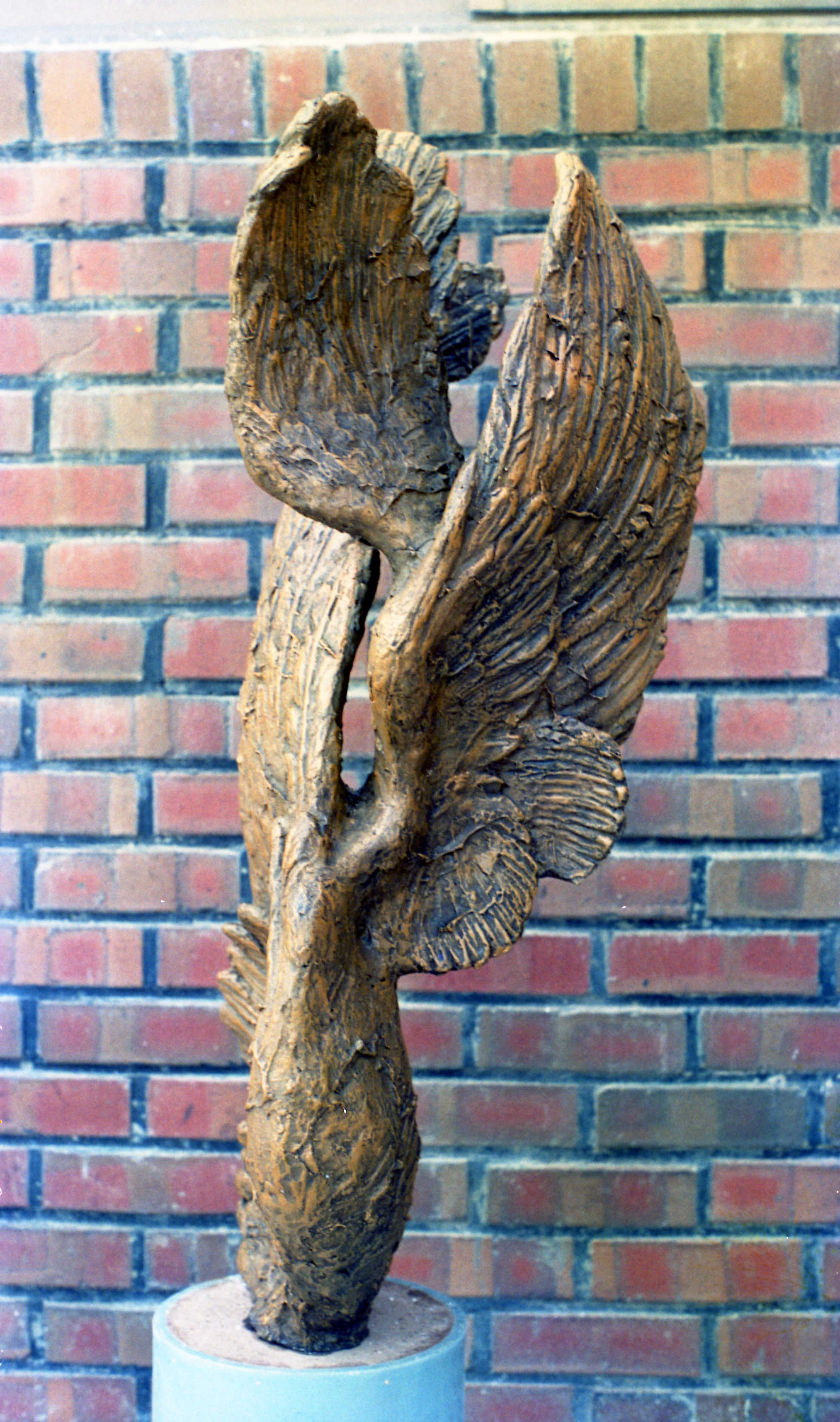 <자라는 날개> 필름