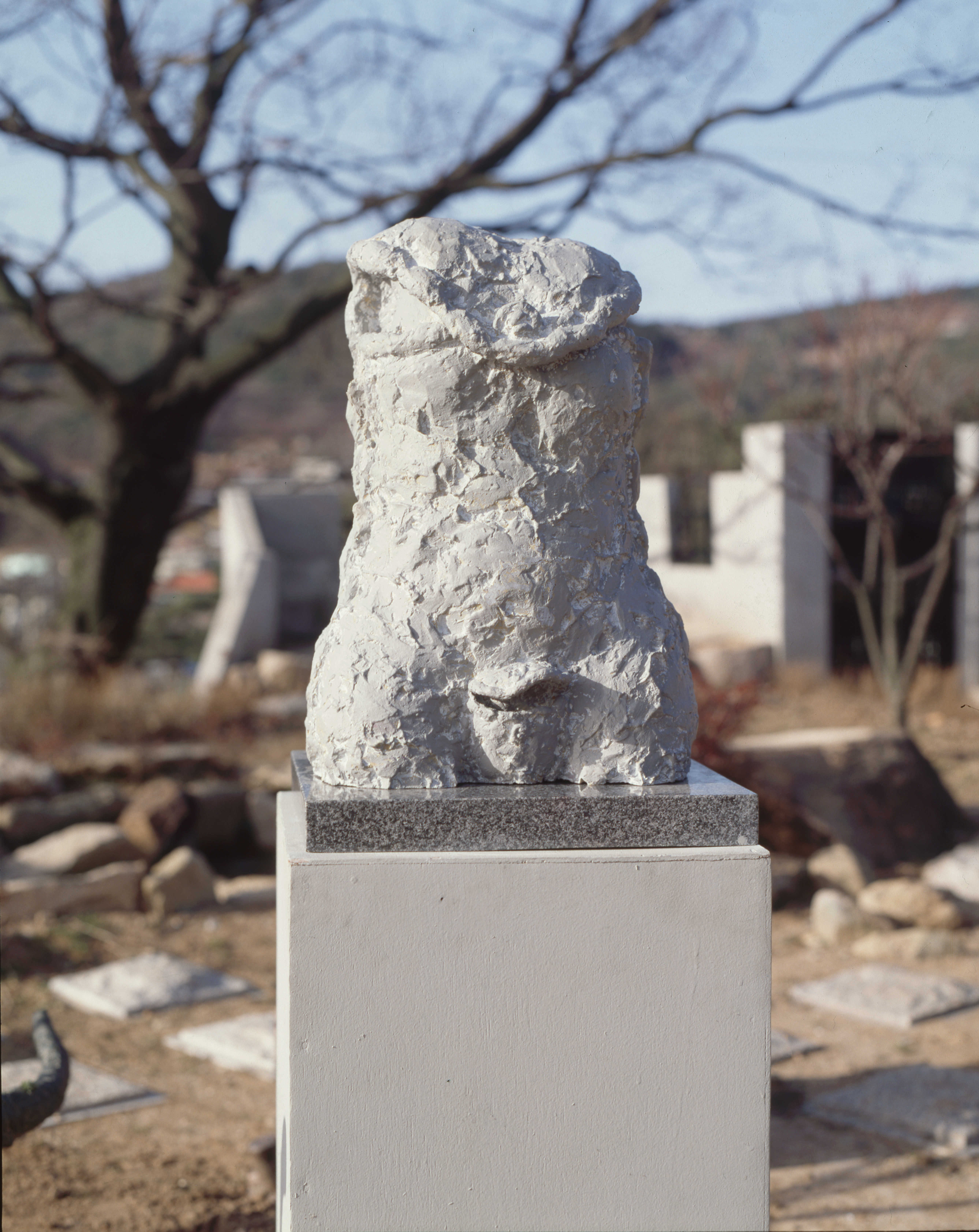 <포켓-토루소> 필름