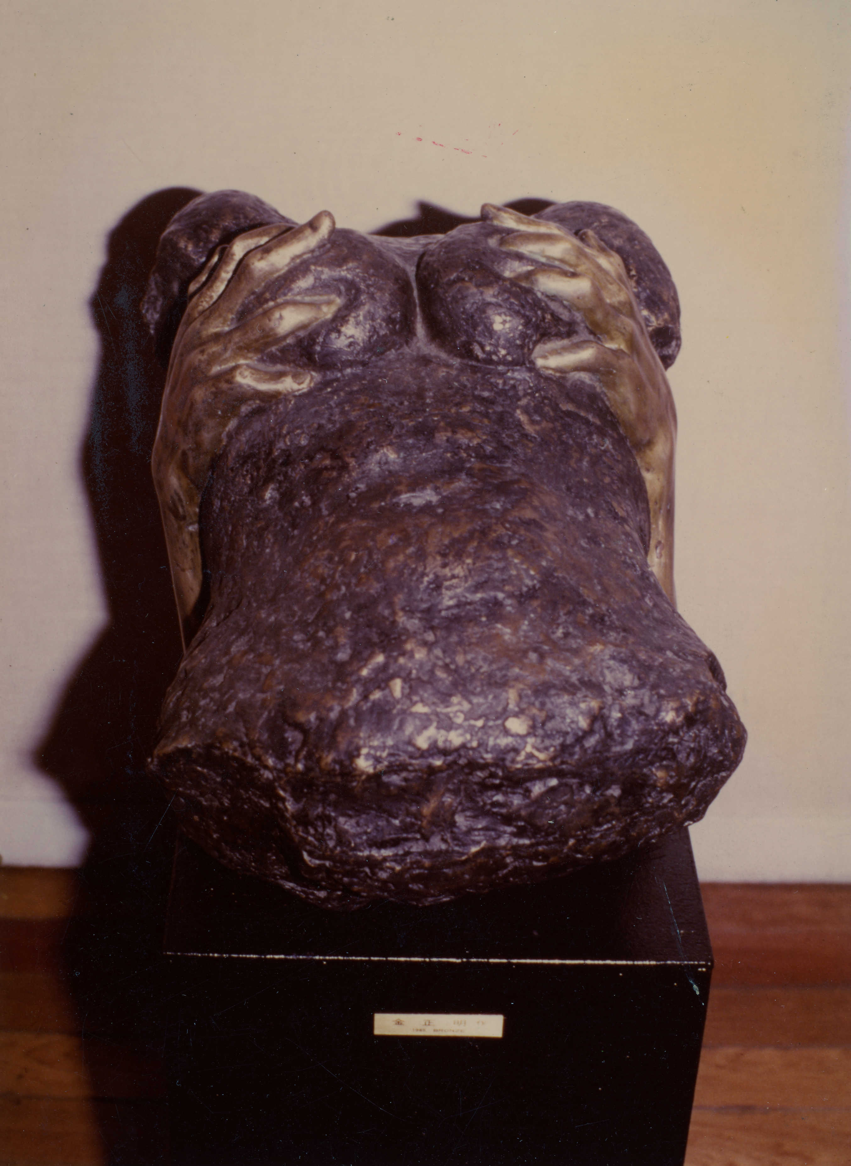 <토루소> 인화사진