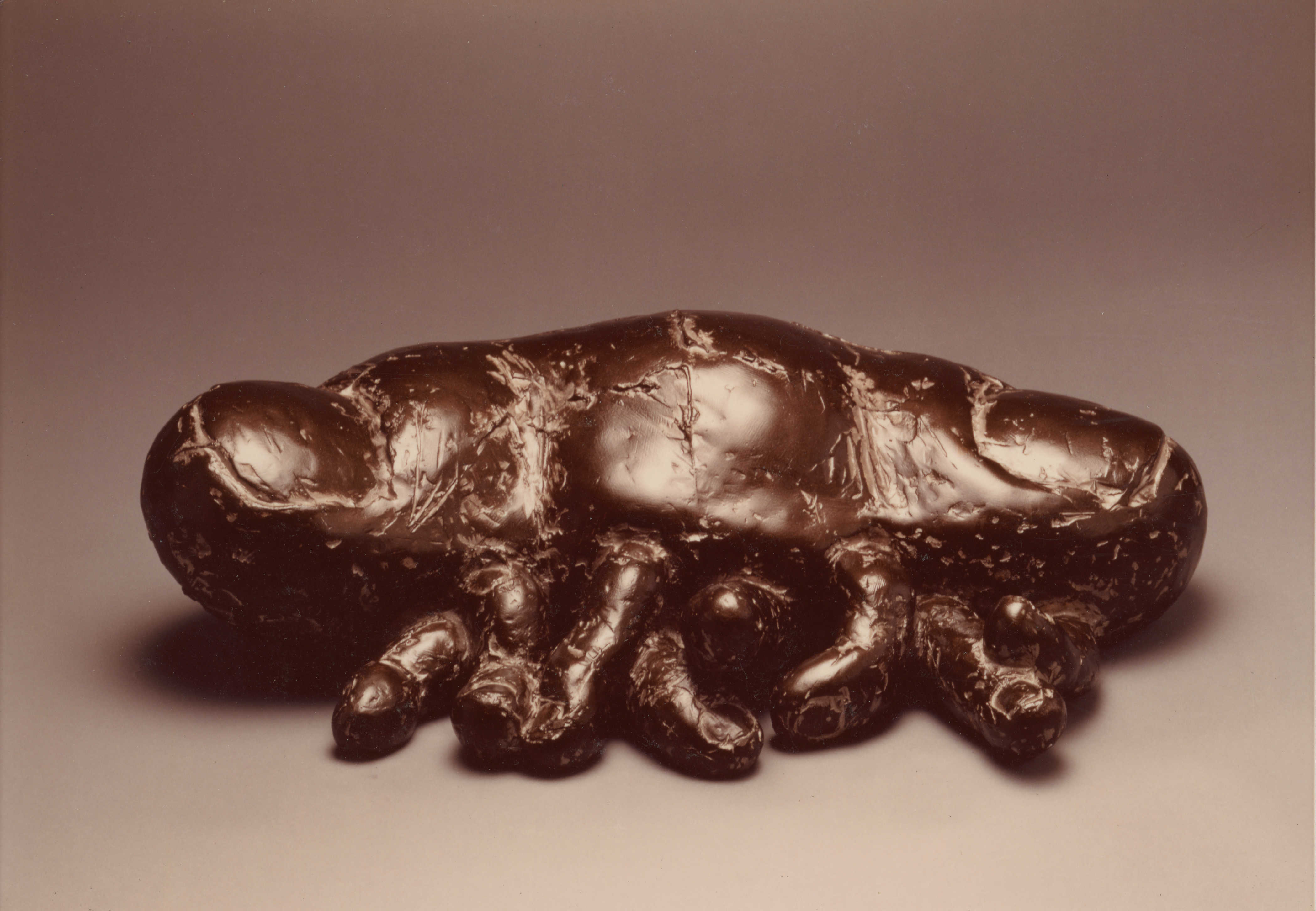 <돼지> 인화사진