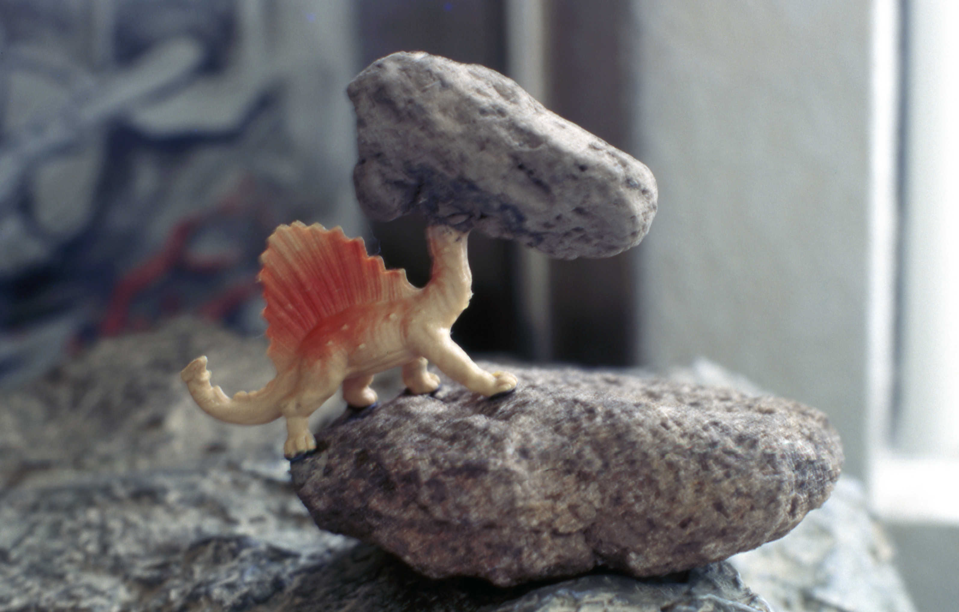 <공룡 잠에서 깨어나다> 슬라이드