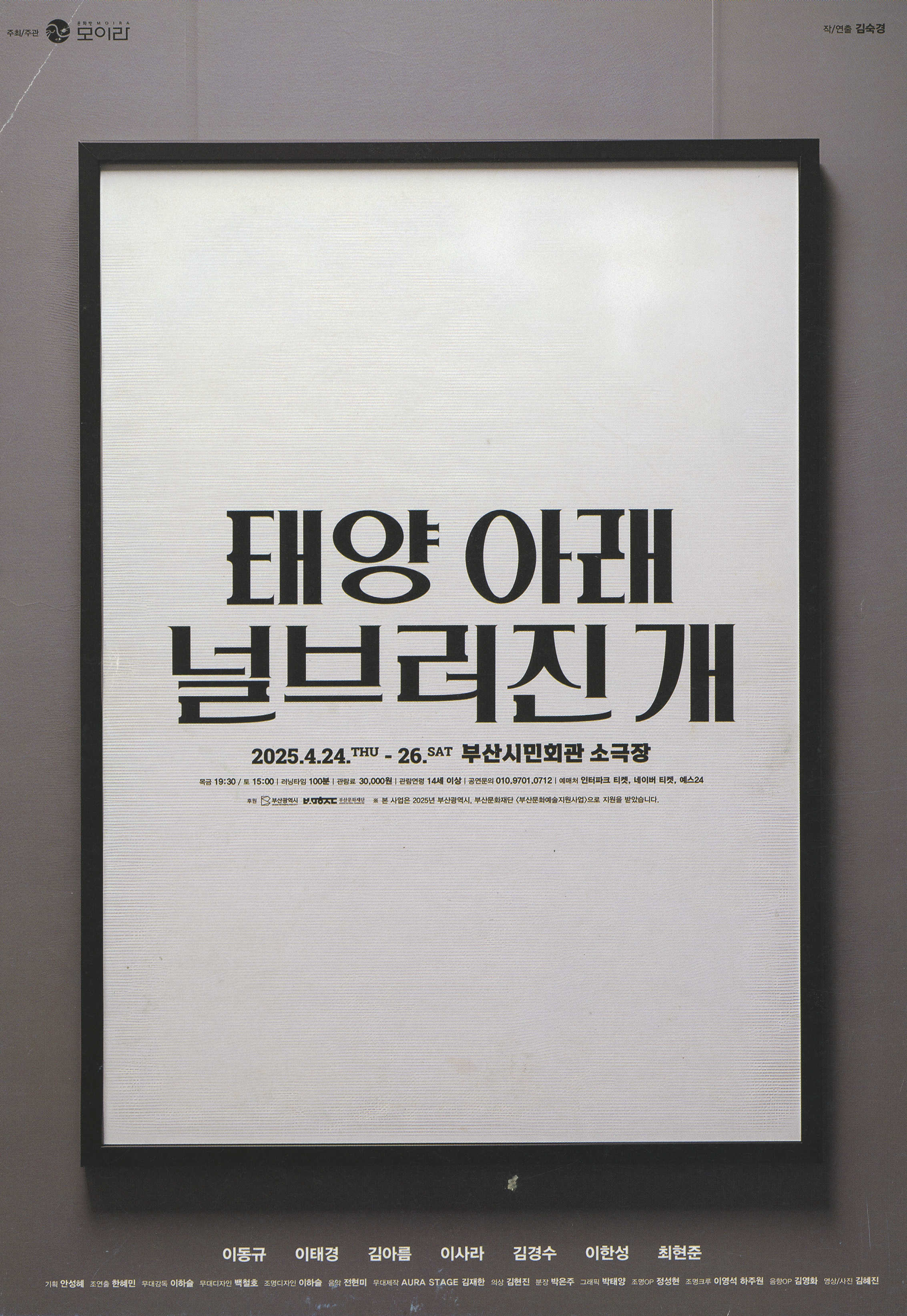 《태양 아래 널브러진 개》 팜플렛