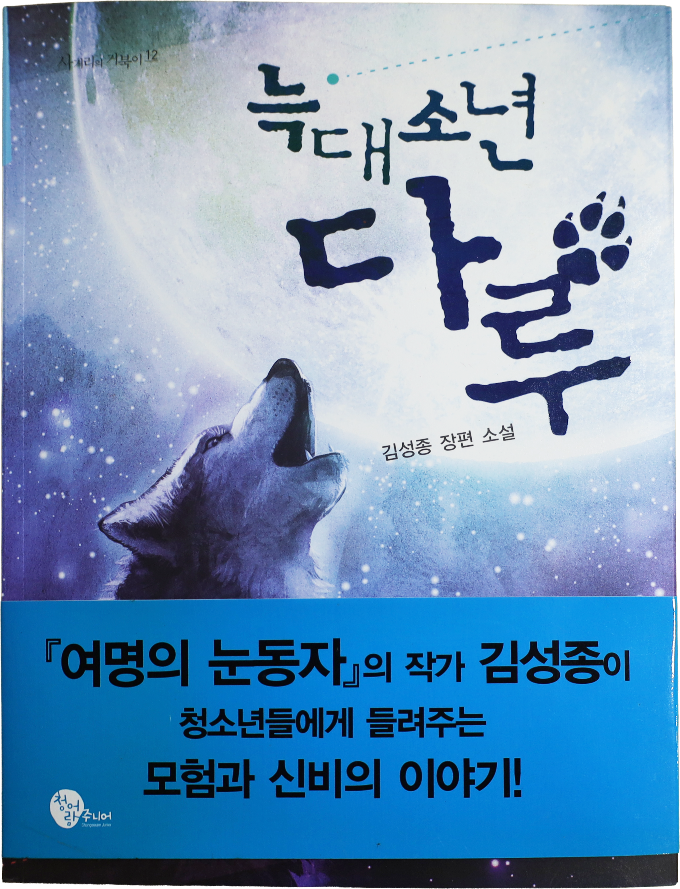 「늑대소년 다루」 1판(2013)