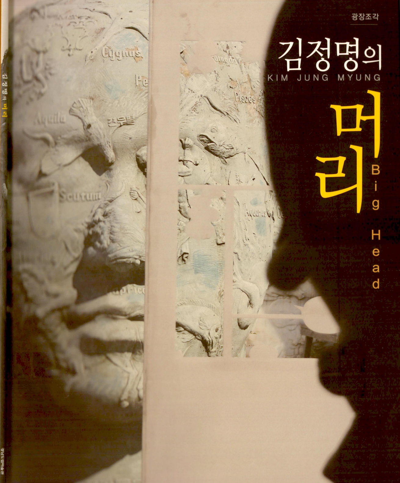 <김정명의 머리> 도록