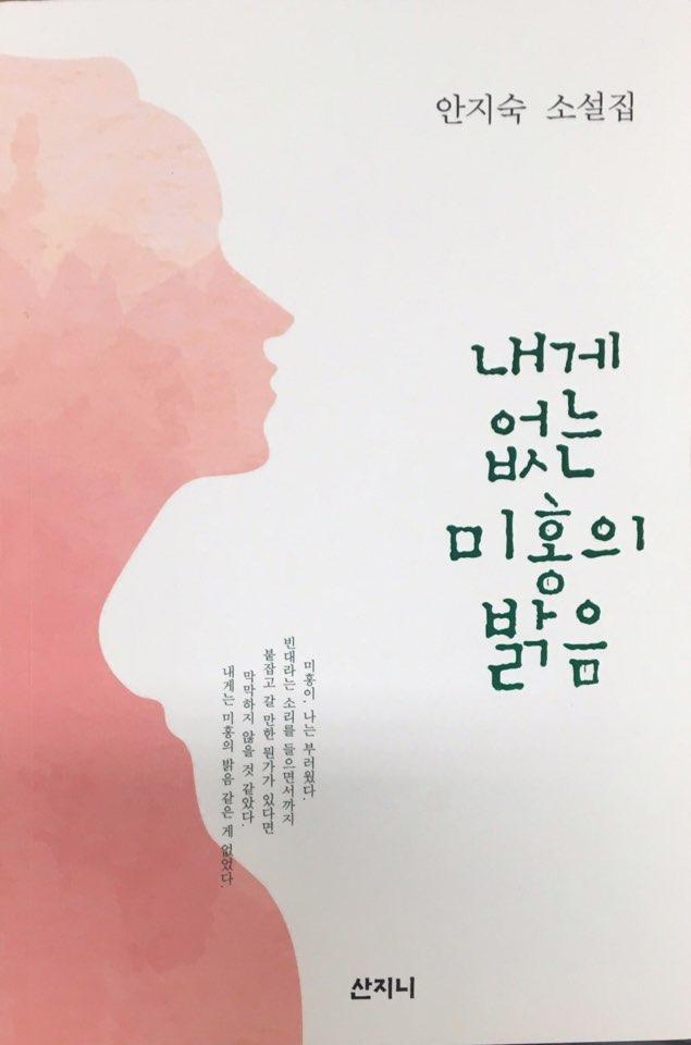 소설집 <안지숙 - 내게 없는 미홍의 밝음>