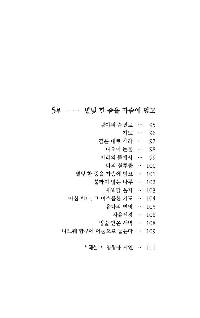 봄 햇살 젖은 발자국
