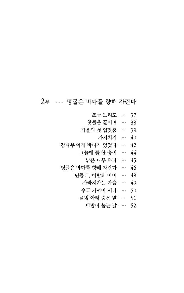 봄 햇살 젖은 발자국
