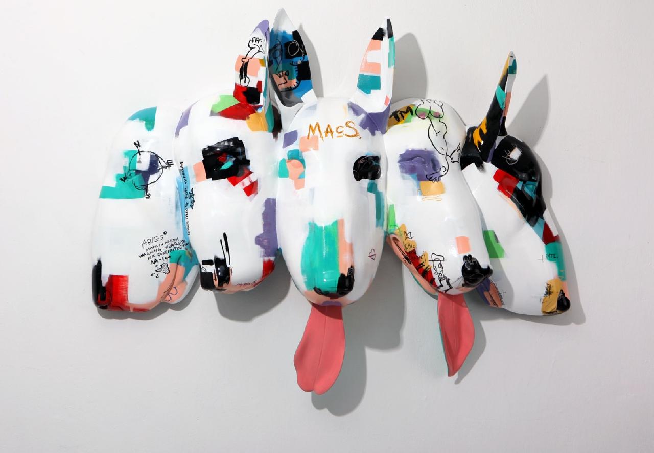 Entropy_Bull