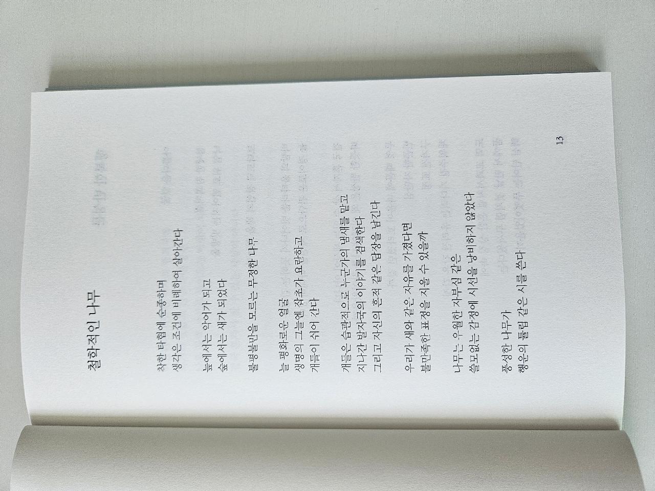 철학적인 나무 
