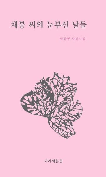 채봉 씨의 눈부신 날들