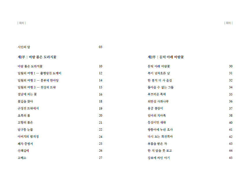 바람 품은 도라지꽃