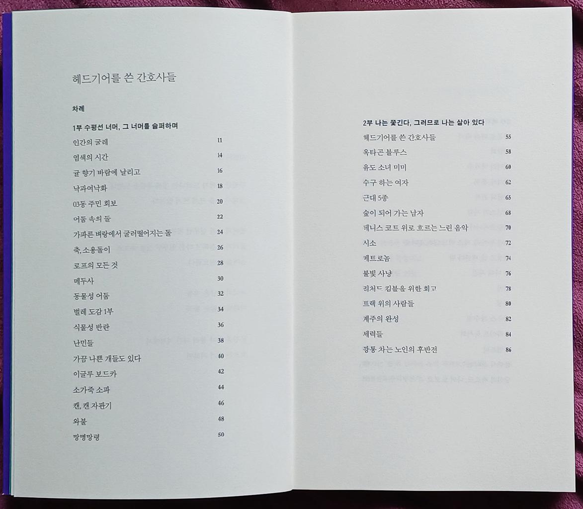 시집 헤드기어를 쓴 간호사들