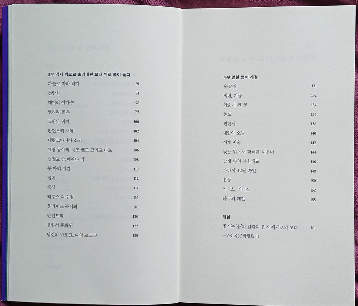 시집 헤드기어를 쓴 간호사들