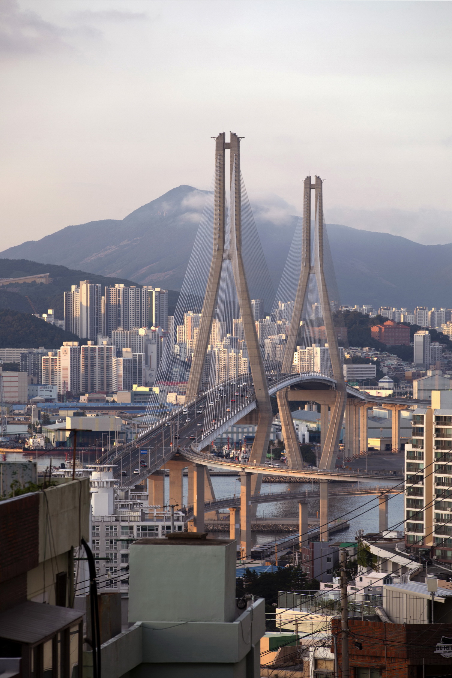 끊어진 그림자를 붙잡을 수도