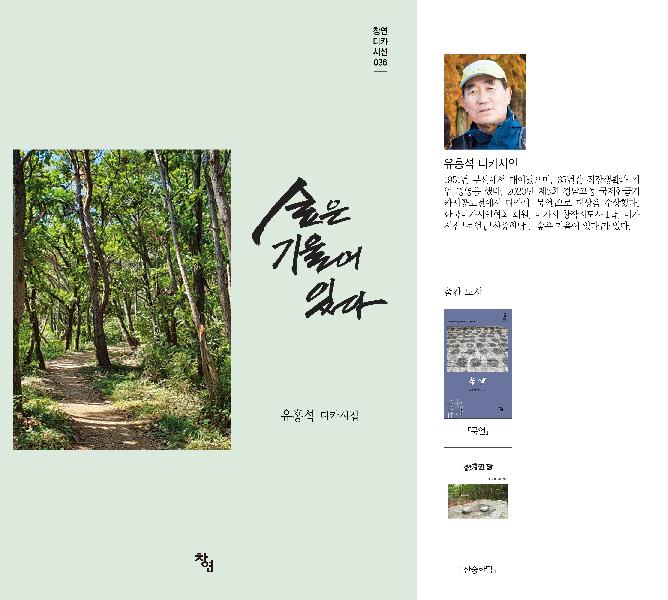 숲은 기울어 있다