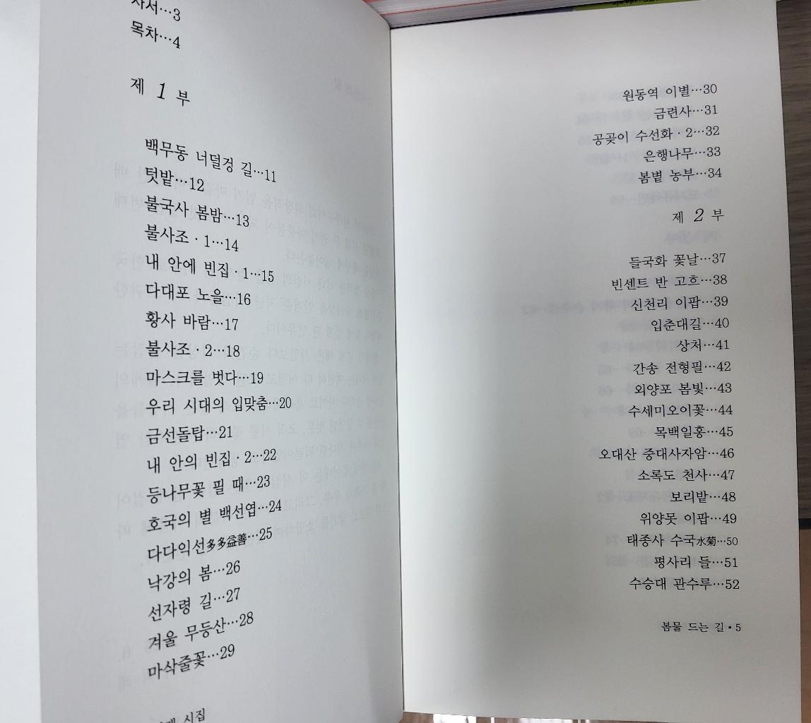 봄물 드는 길