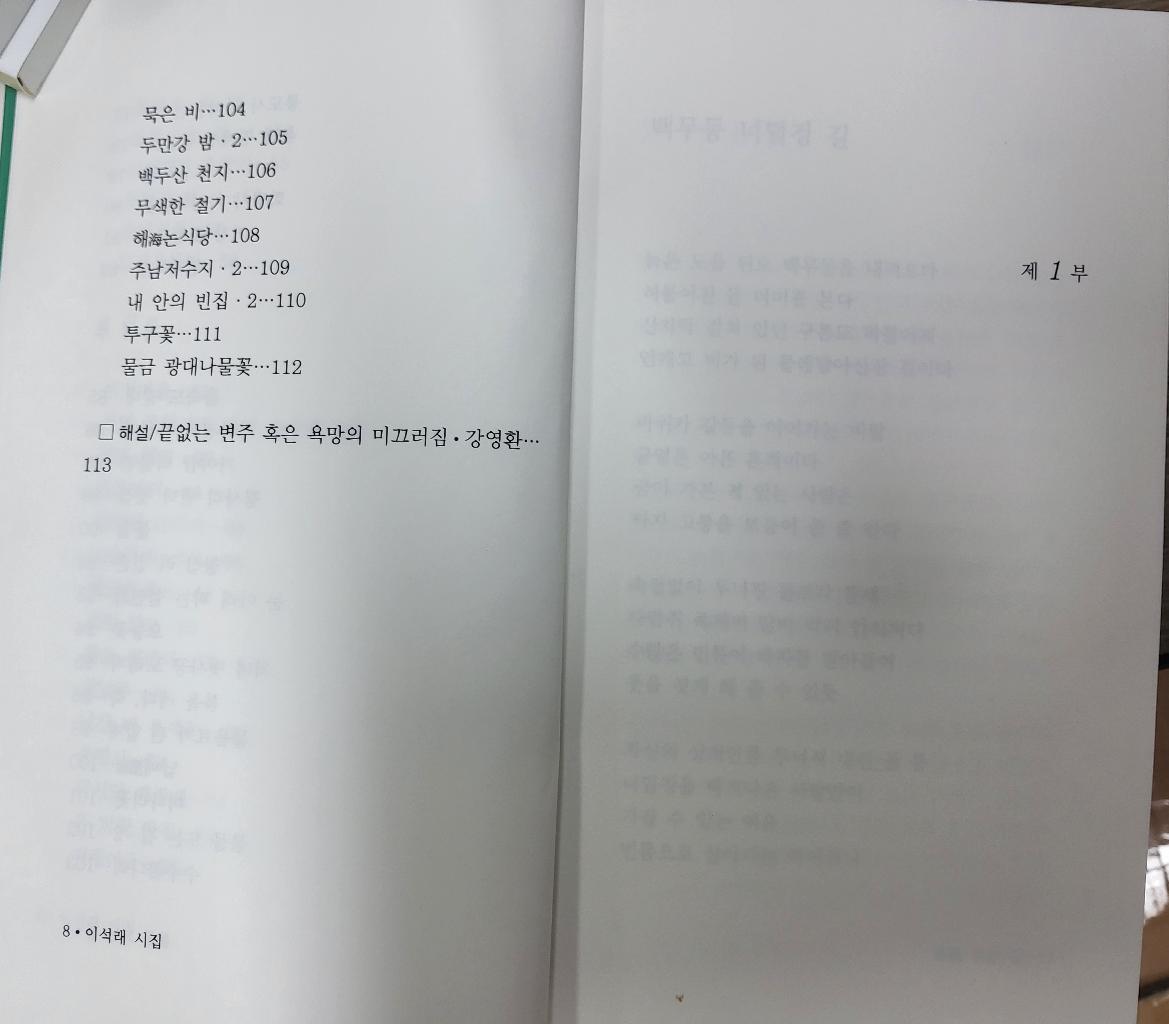 봄물 드는 길