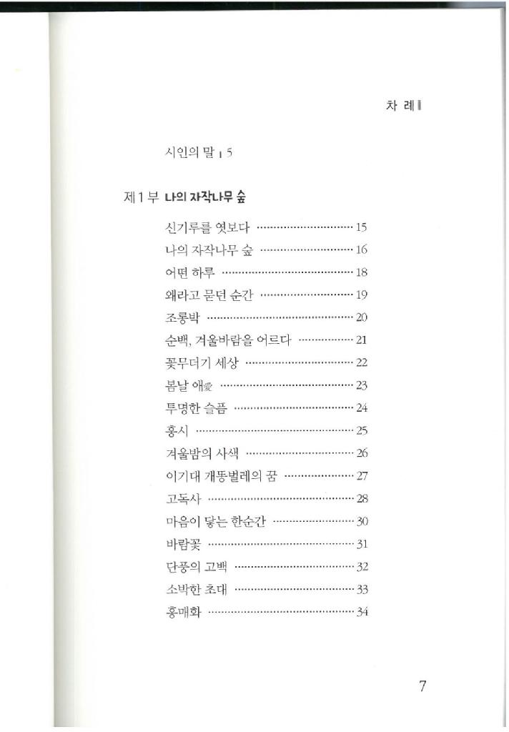 나의 자작나무숲