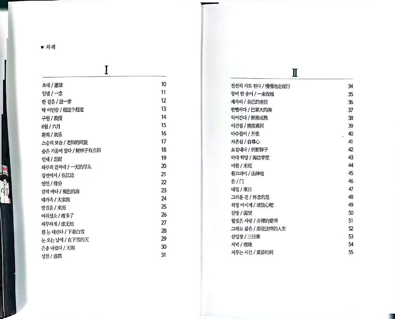 숲은 기울어 있다