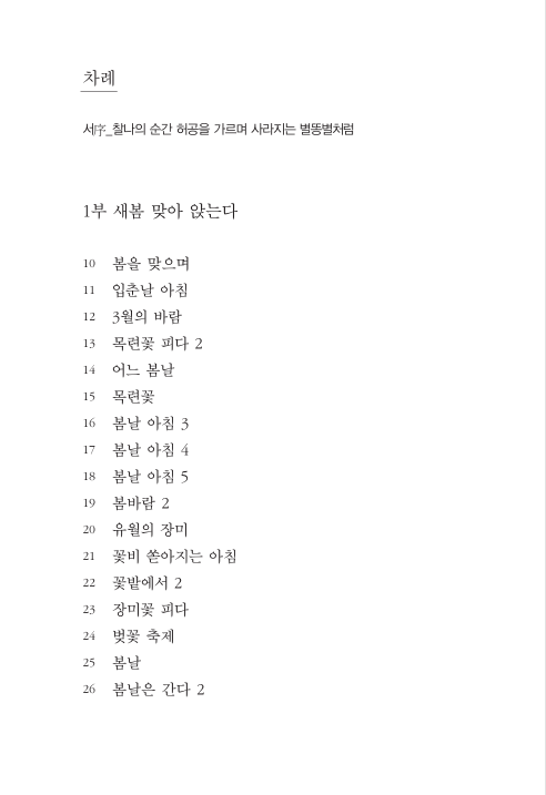 나목과 별똥별, 그 사이의 그리움
