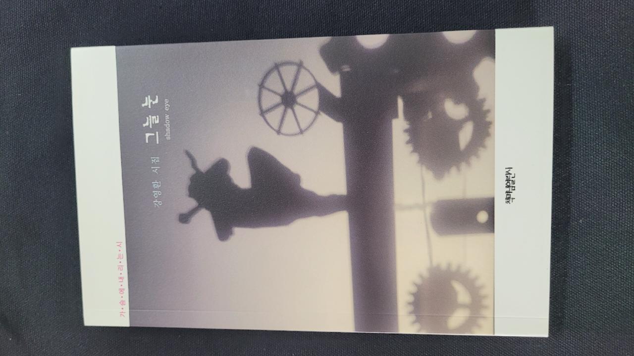 그늘 눈
