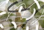 Green Overlay