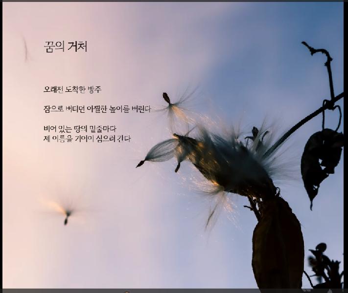 꿈의 거처