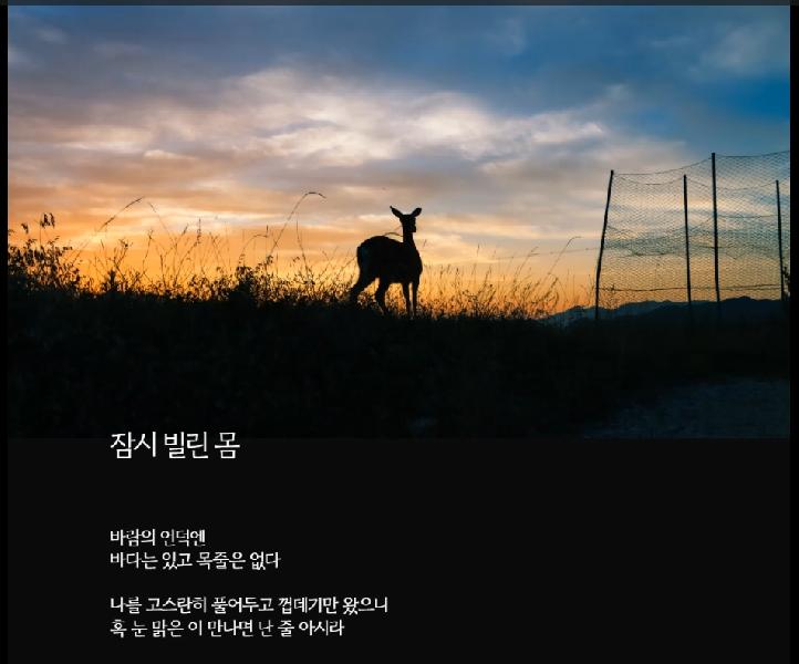 잠시 빌린 몸