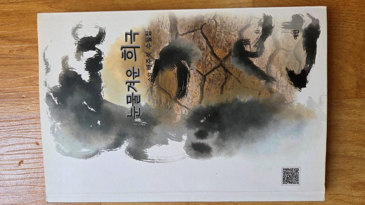 눈물겨운 희극 (수필집)